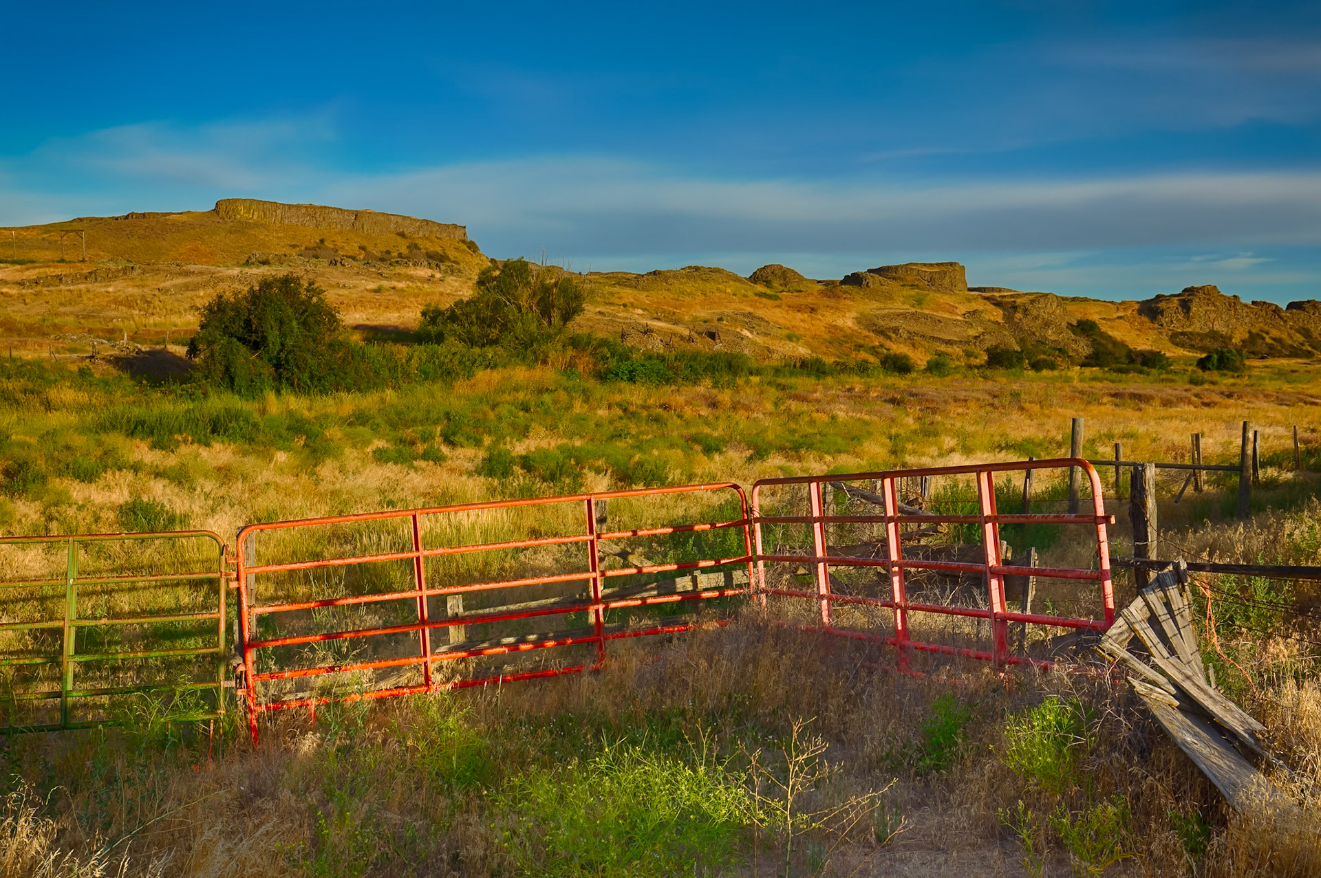Escure Ranch 8
