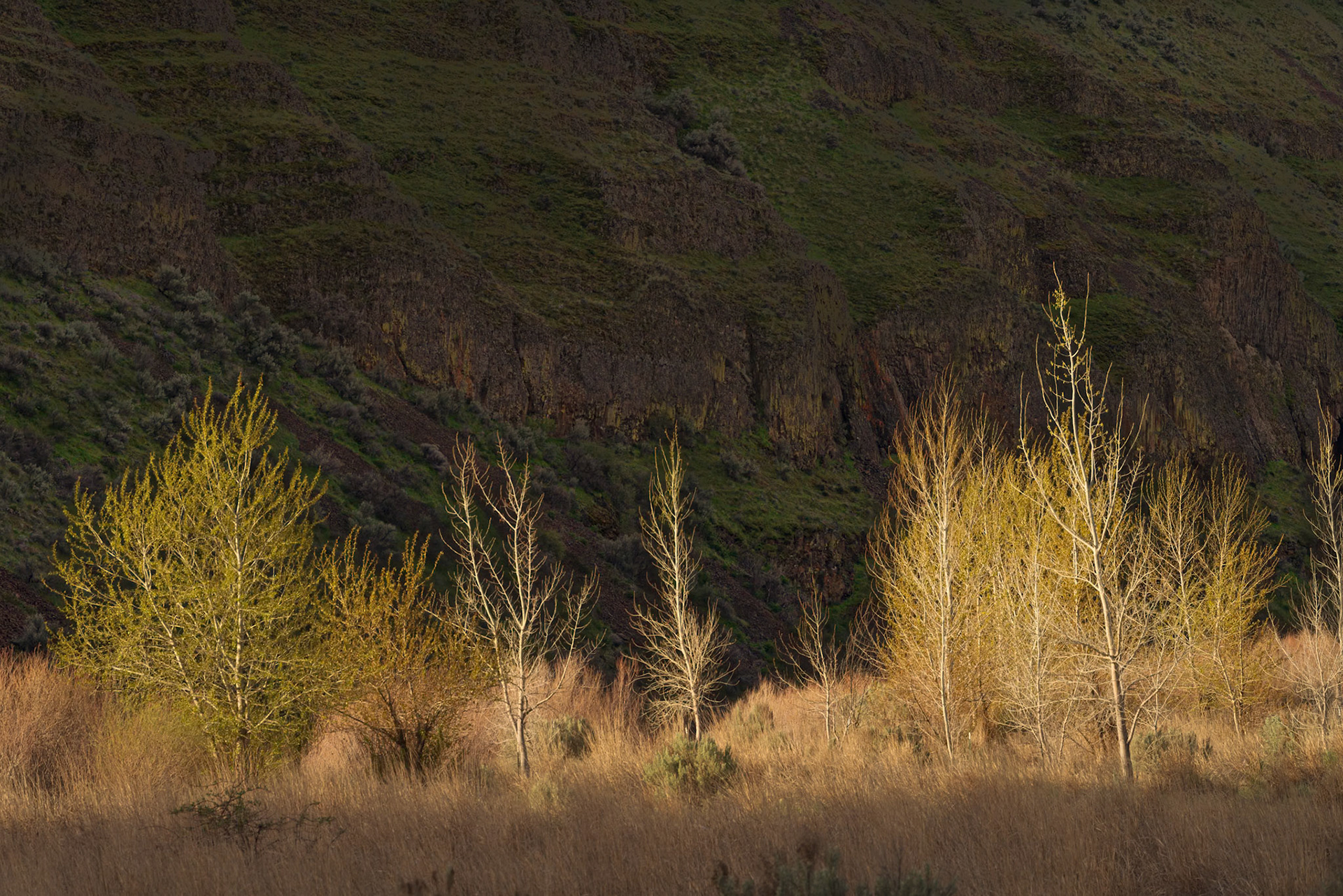 Cottonwood Canyon-4