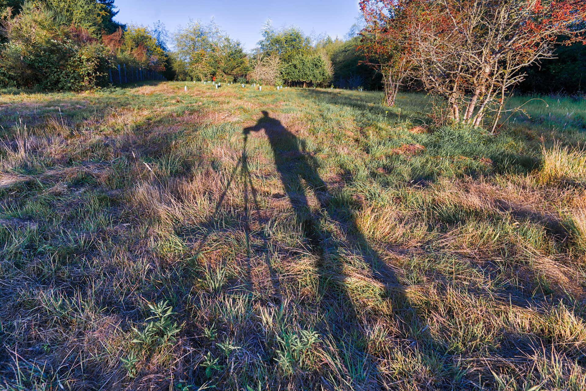 Background Image for Solo Exhibition Poster, Standing Meditation