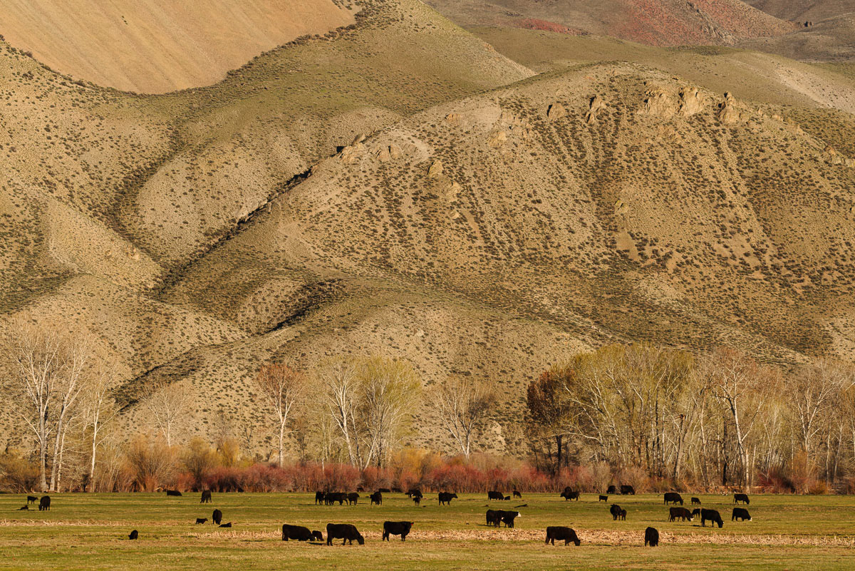 10-Along The Salmon River, Idaho