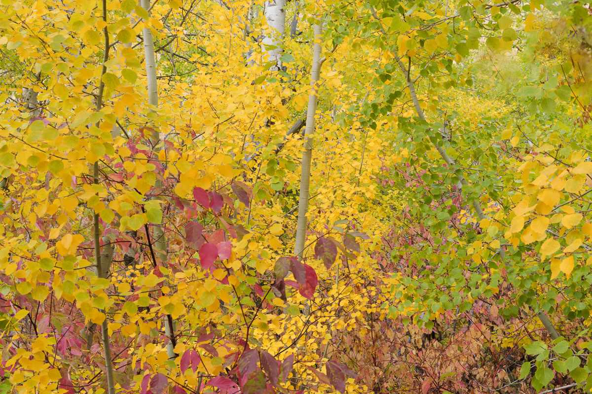Cowiche Canyon-1