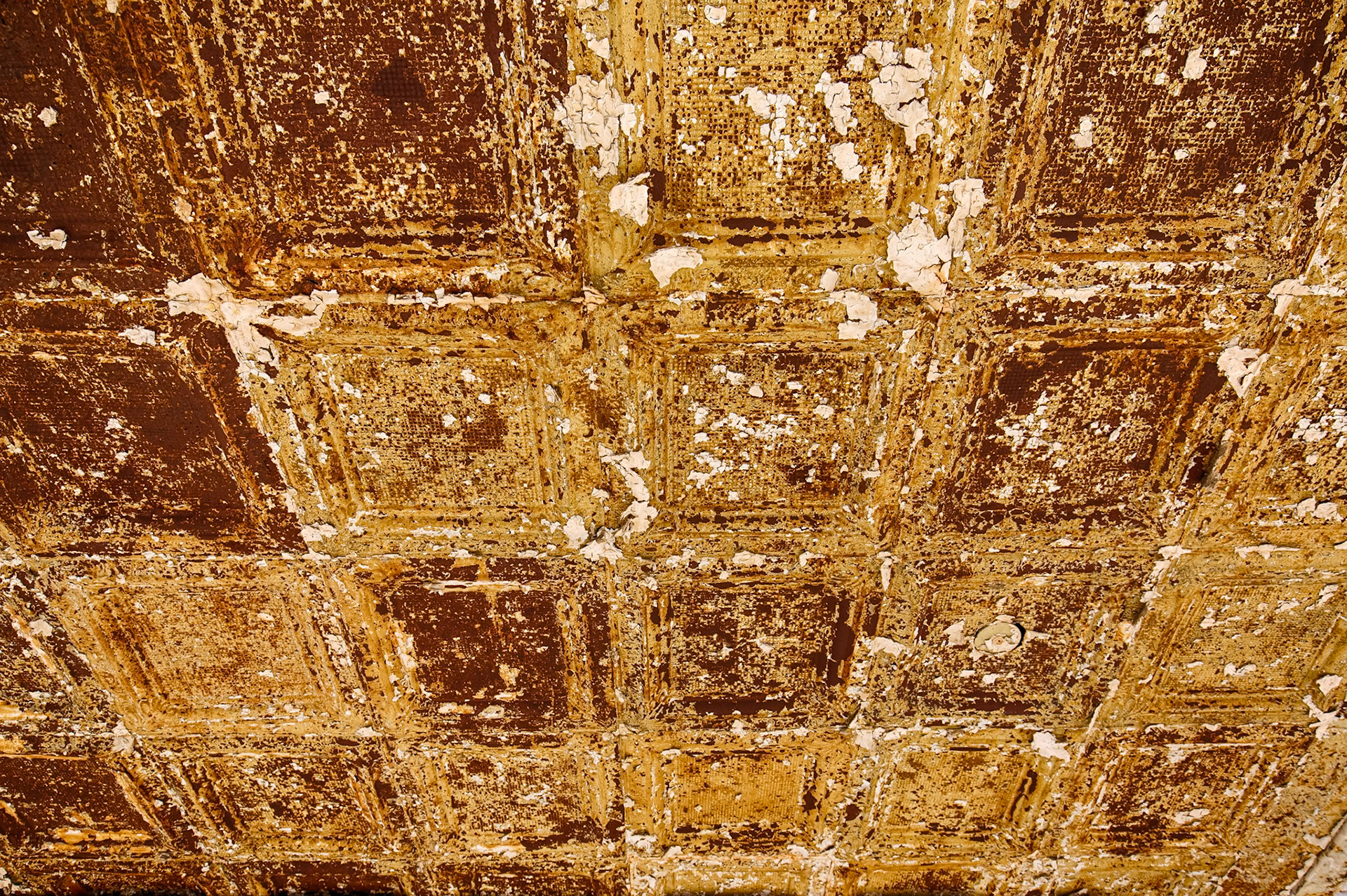 Ceiling detail, Abandoned Gas Sation, Ritzville, Washington
