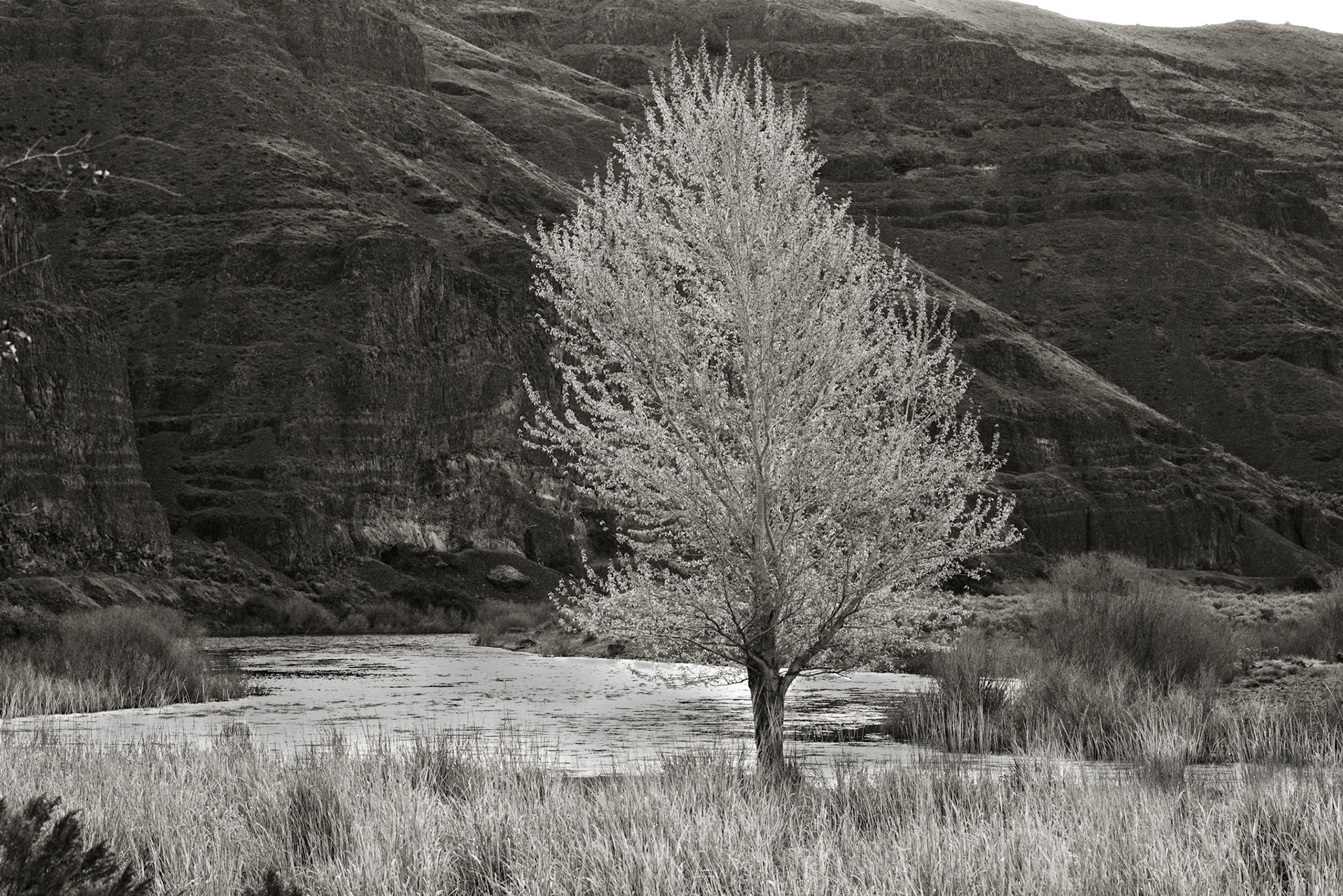 Cottonwood Canyon-3