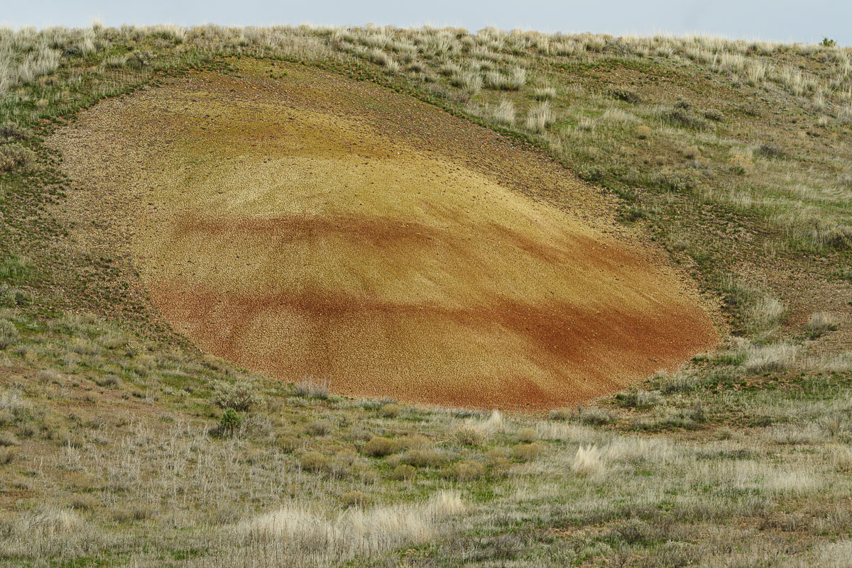 Painted Hills-5