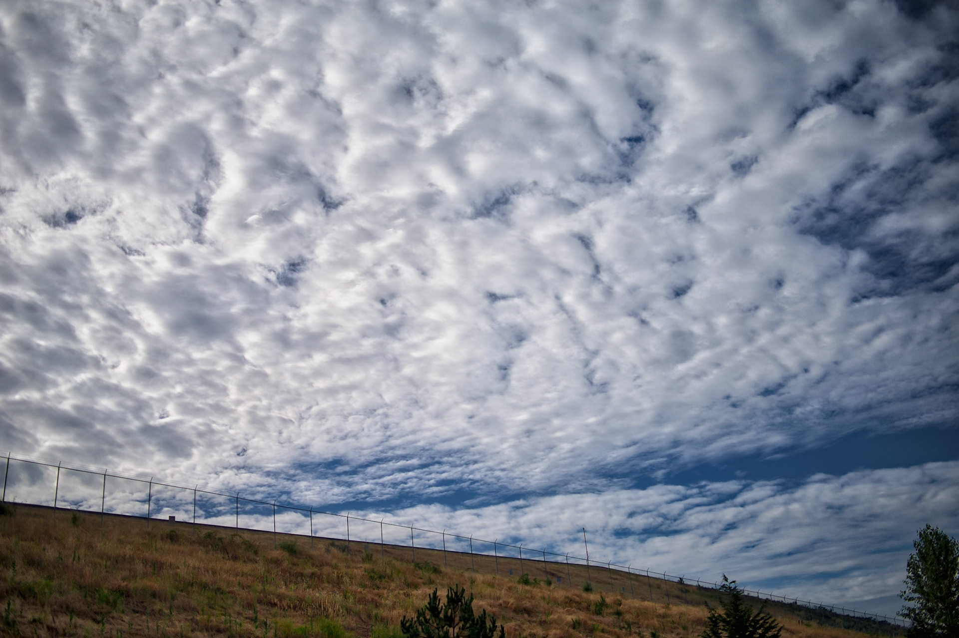 South hillside