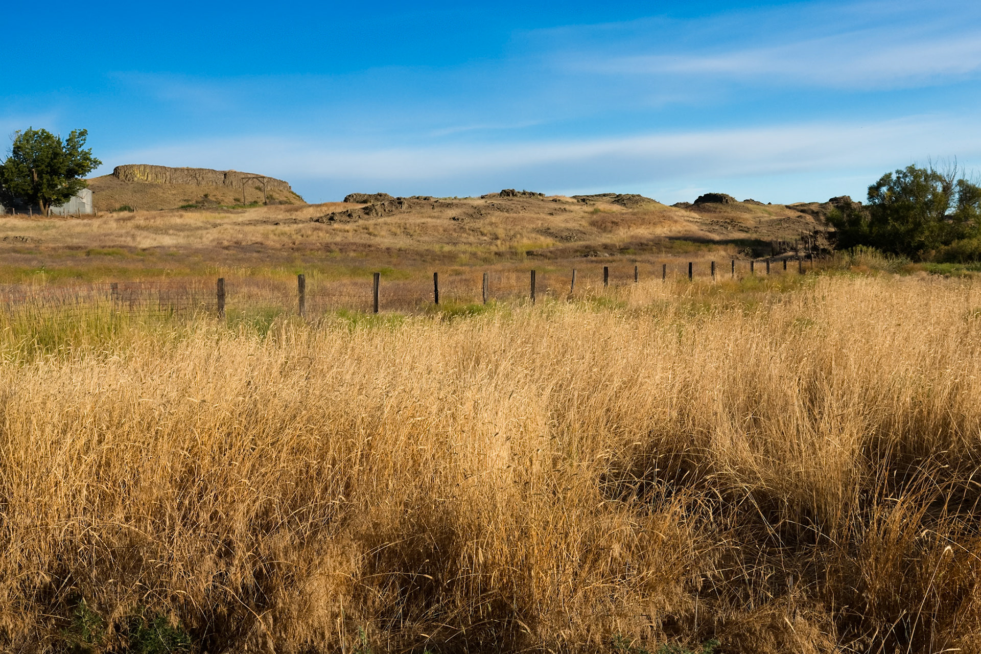 Escure Ranch 7