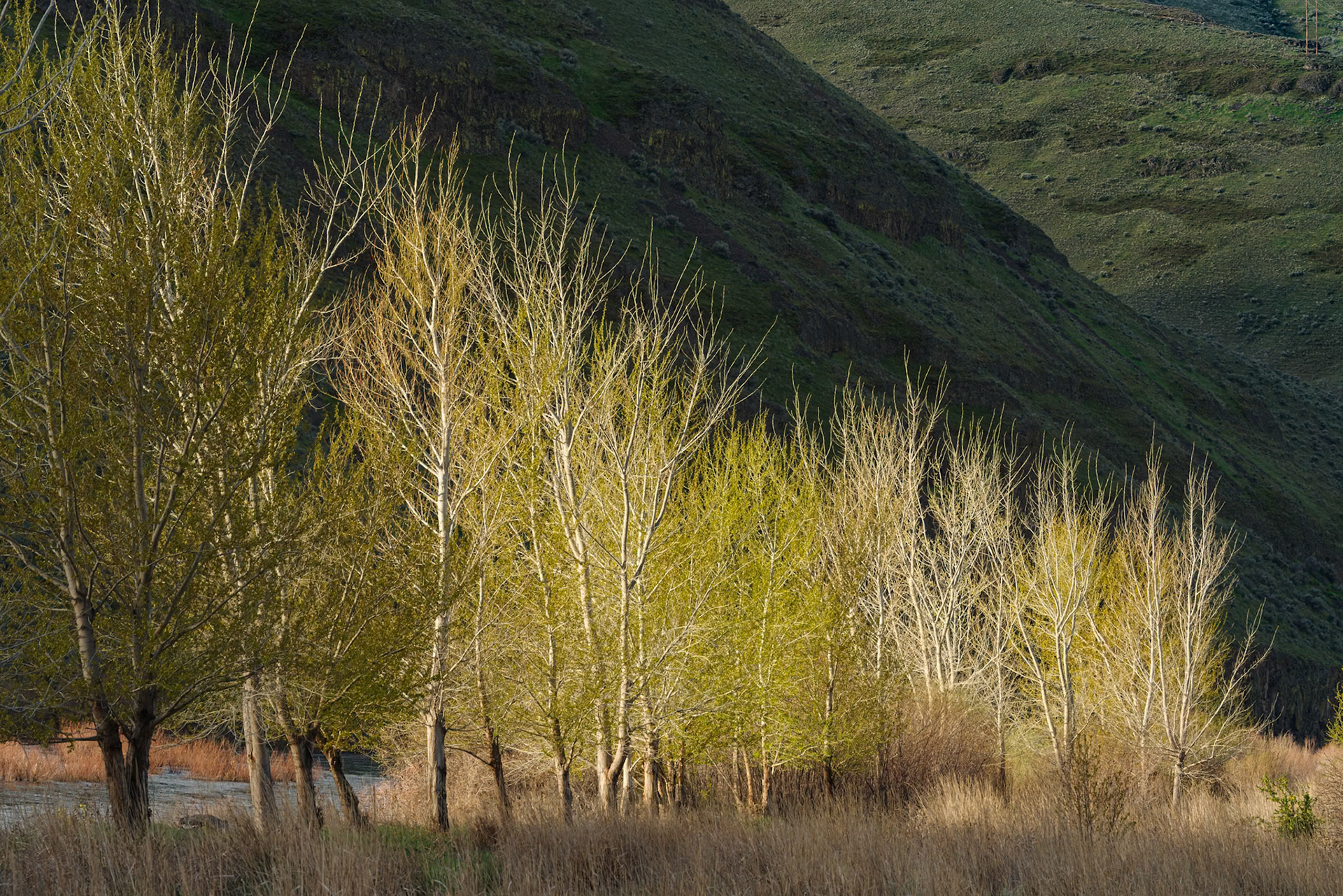 Cottonwood Canyon-6