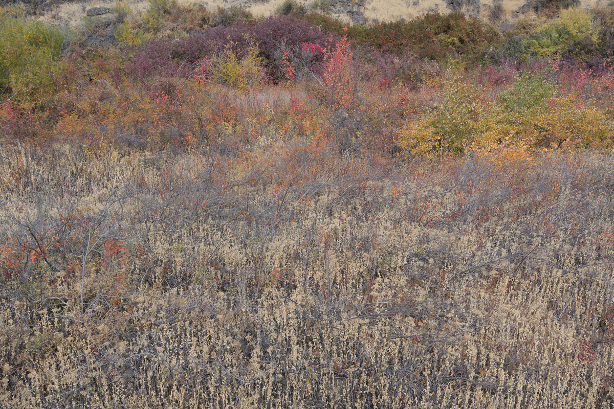 Cowiche Canyon-9