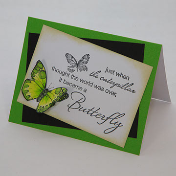 Butterfly Collection - Green - 1503-01/G