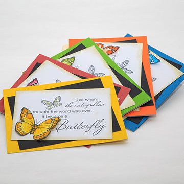 Butterfly Collection - Set of 5 -1503