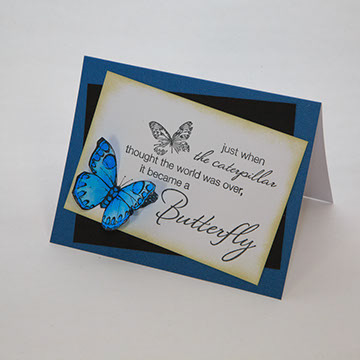 Butterfly Collection - Blue - 1503-04/B