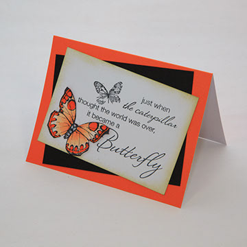 Butterfly Collection - Orange - 1503-03/O