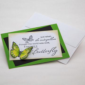 Butterfly Collection - Green - 1503-01/G