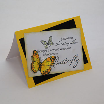 Butterfly Collection - Yellow - 1503-05/Y