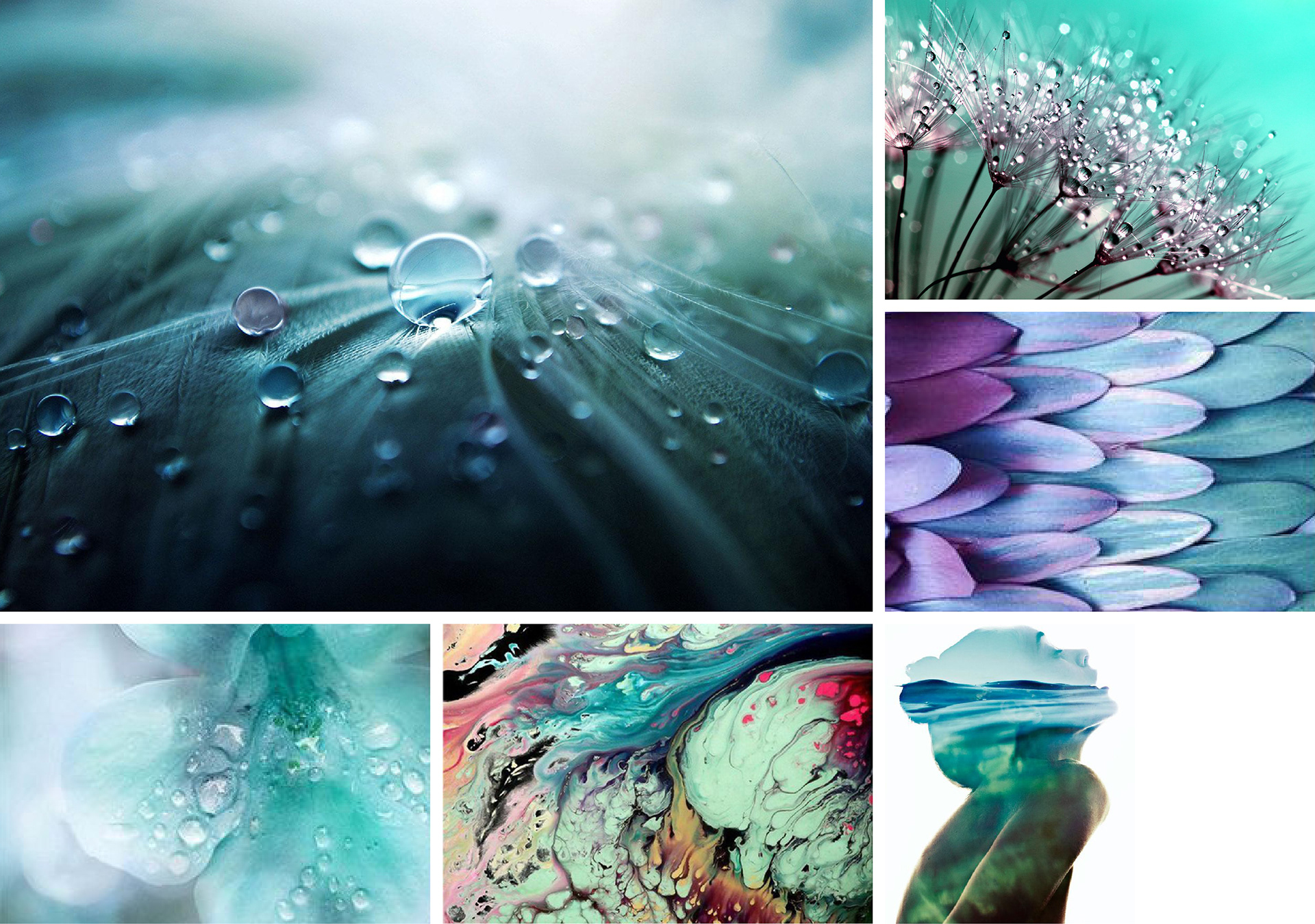Fiama Di Wills - Inspiration