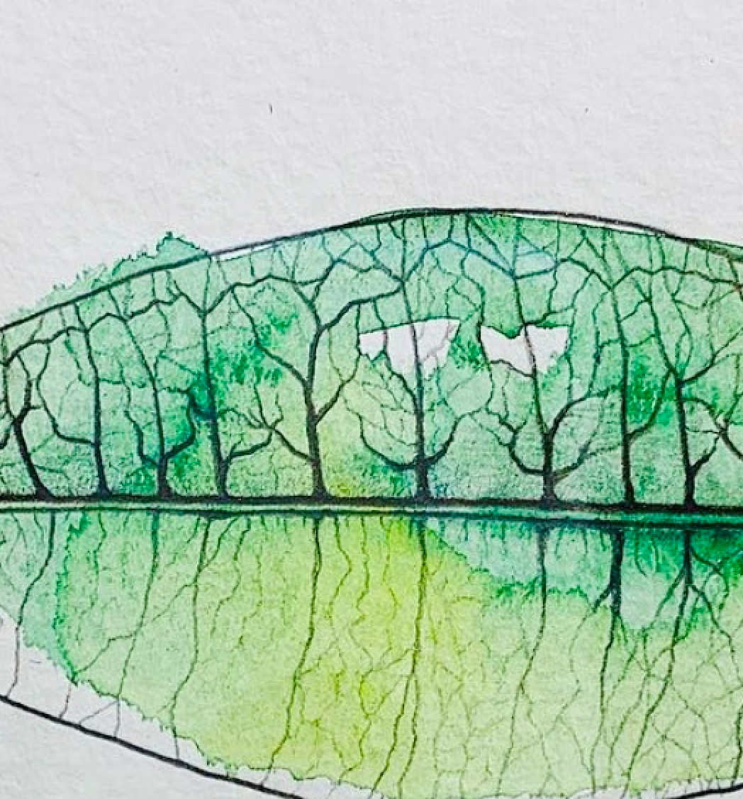 Close-up