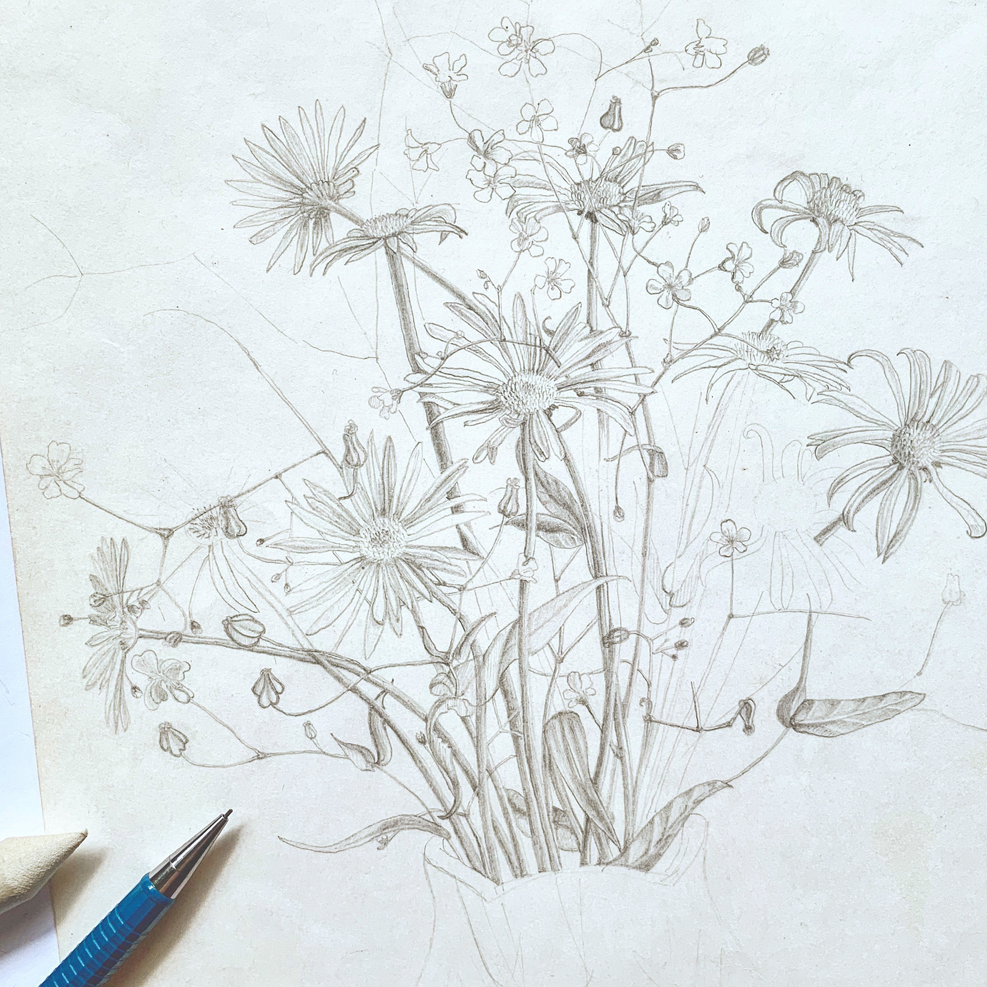 Wildflowers Sketch, 1998