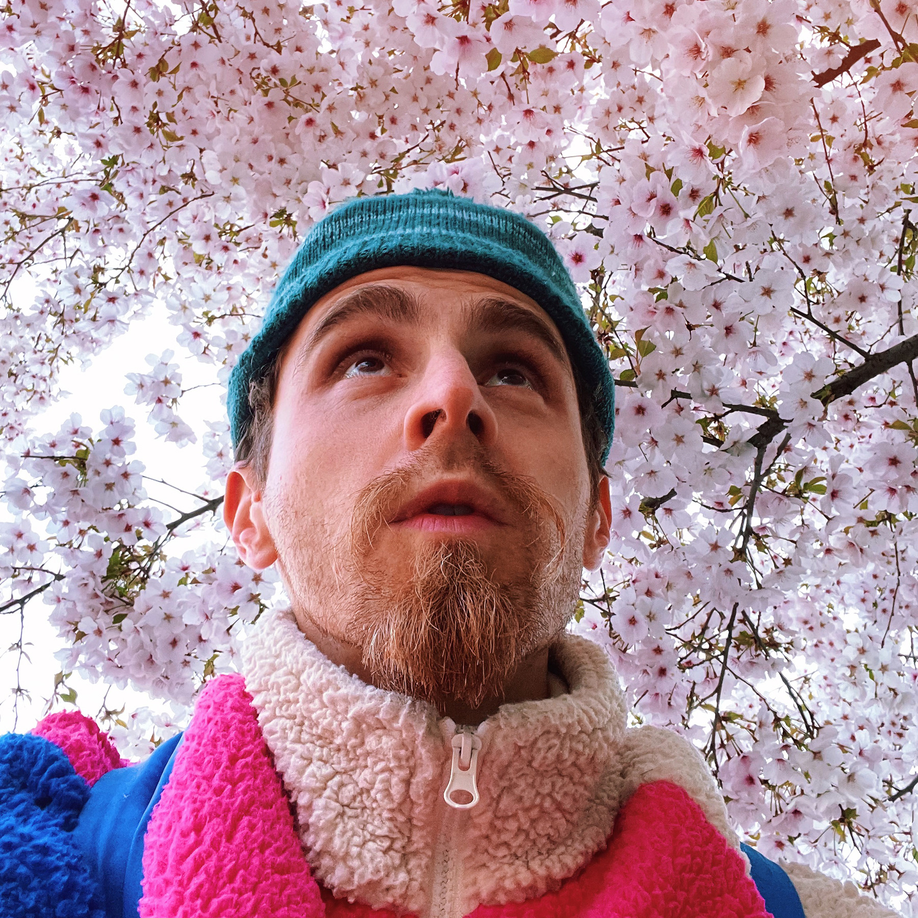 Luan Banzai