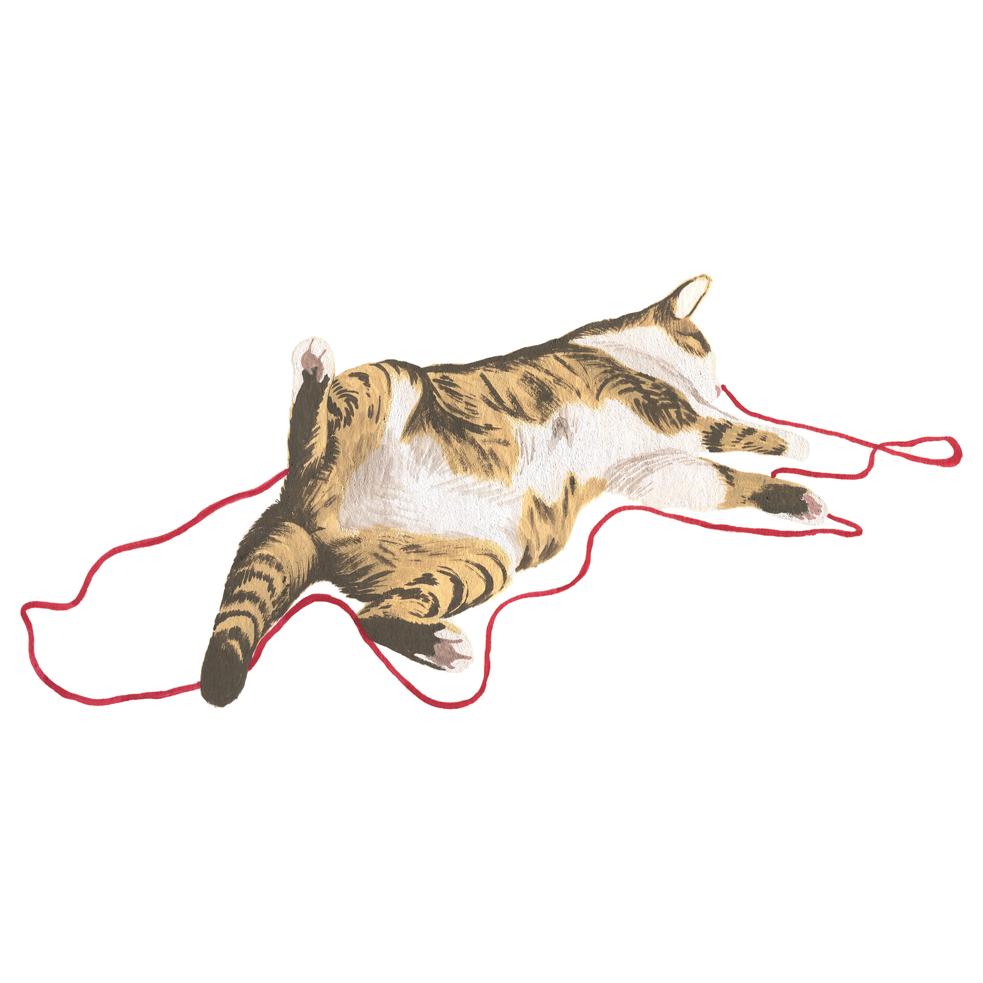 眠る猫