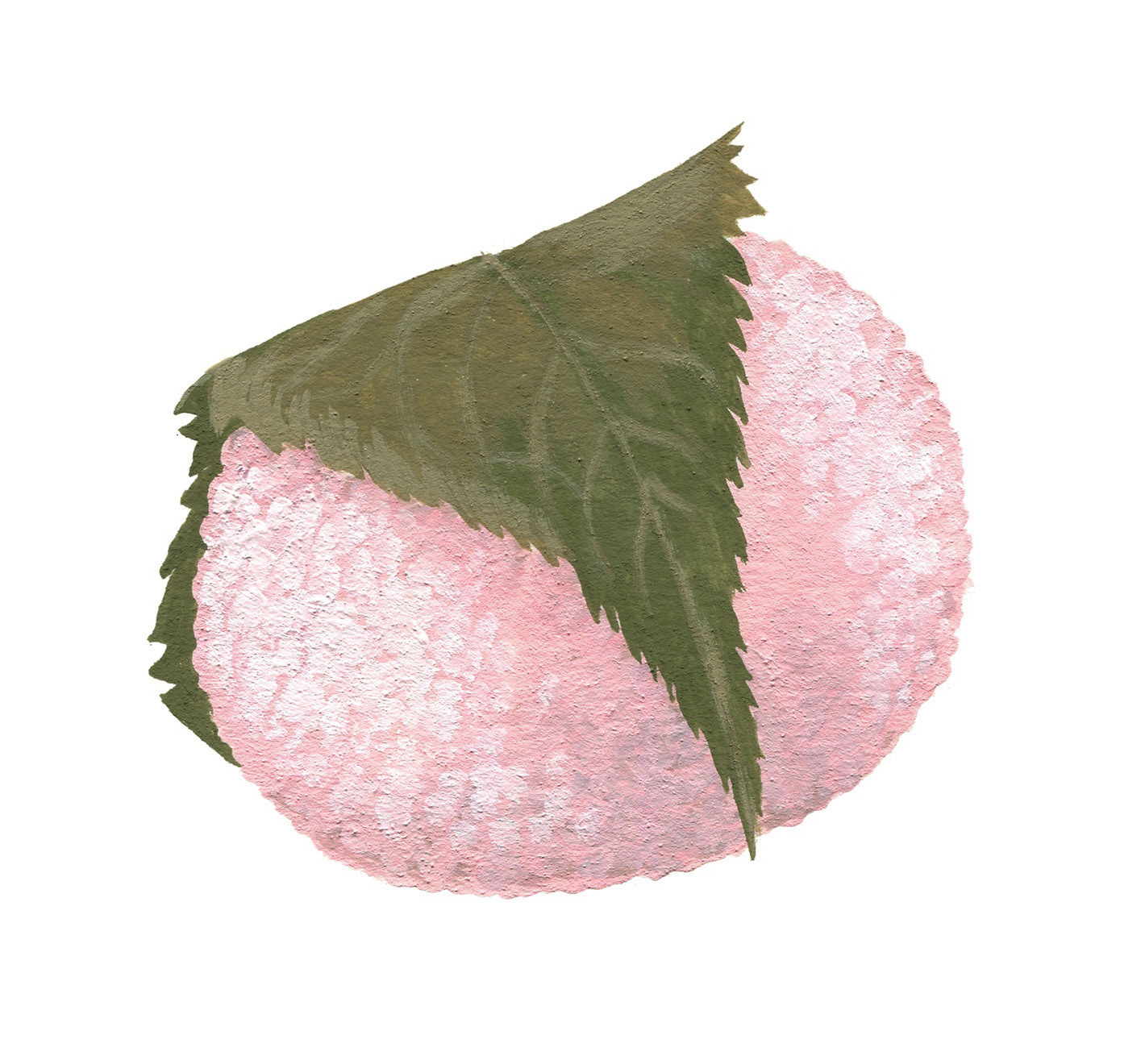 イラストレーター宮澤美穂 Illustrator Miho Miyazawa 和菓子 Japanese Sweets