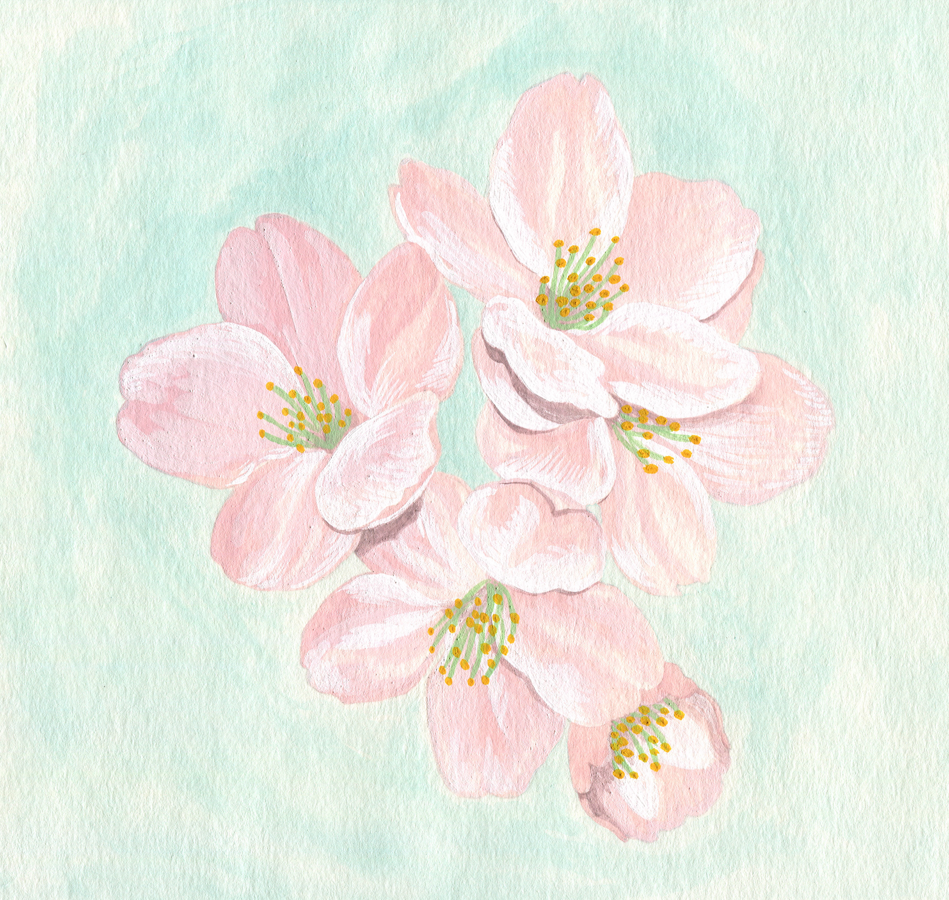 桜
