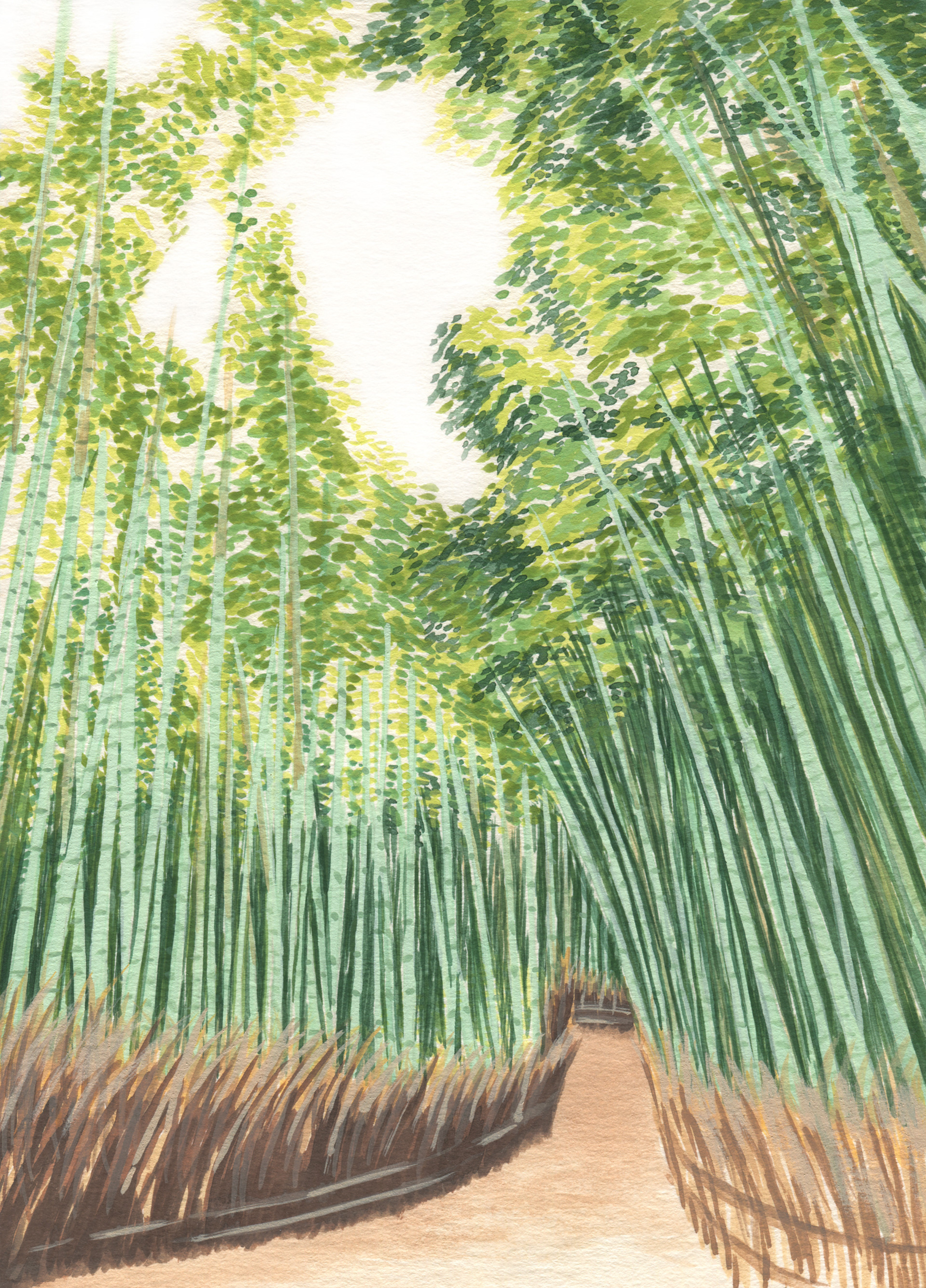 京都 竹林
