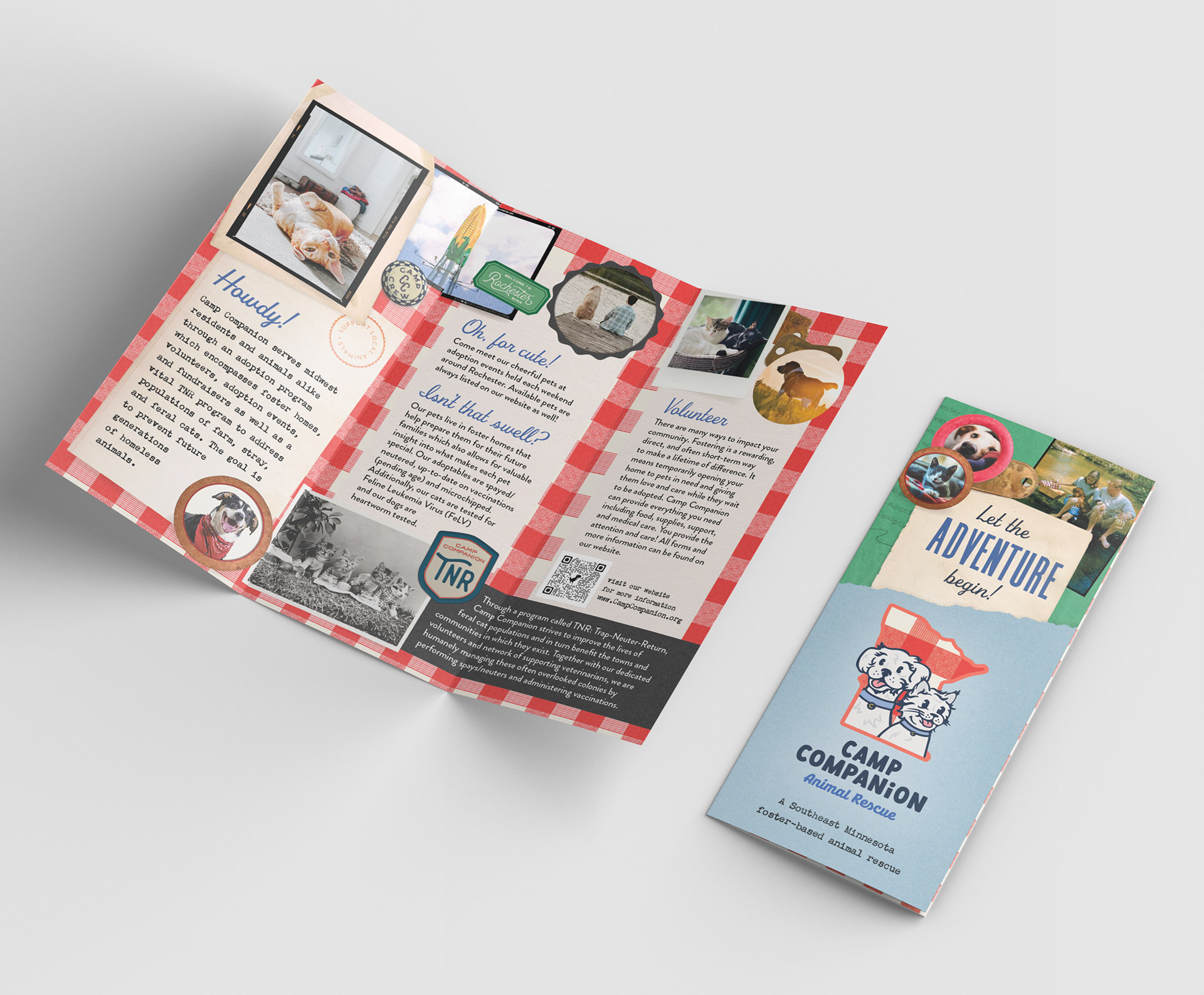 Brochure, copy, and concept by me