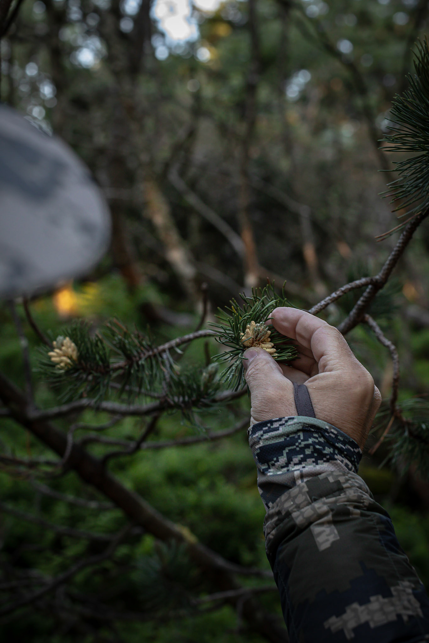 Olivier Nasti en nature