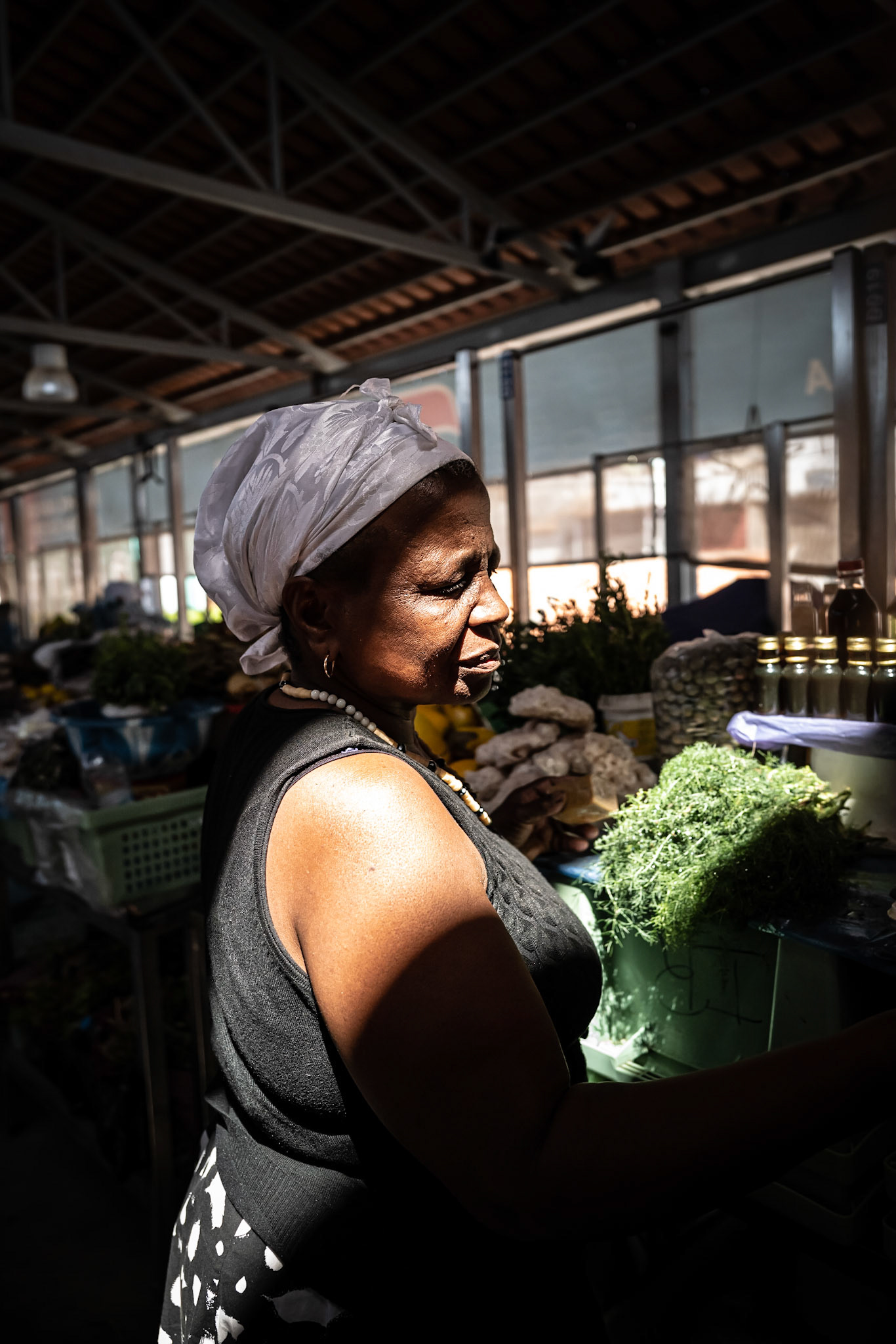 Cap Vert - mars 2023