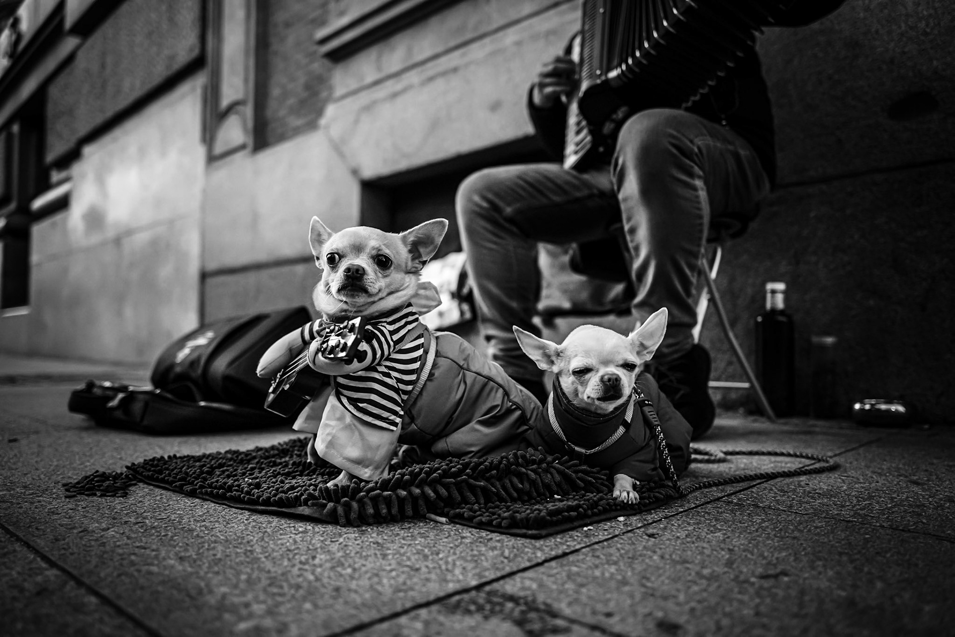 Madrid - novembre 2023