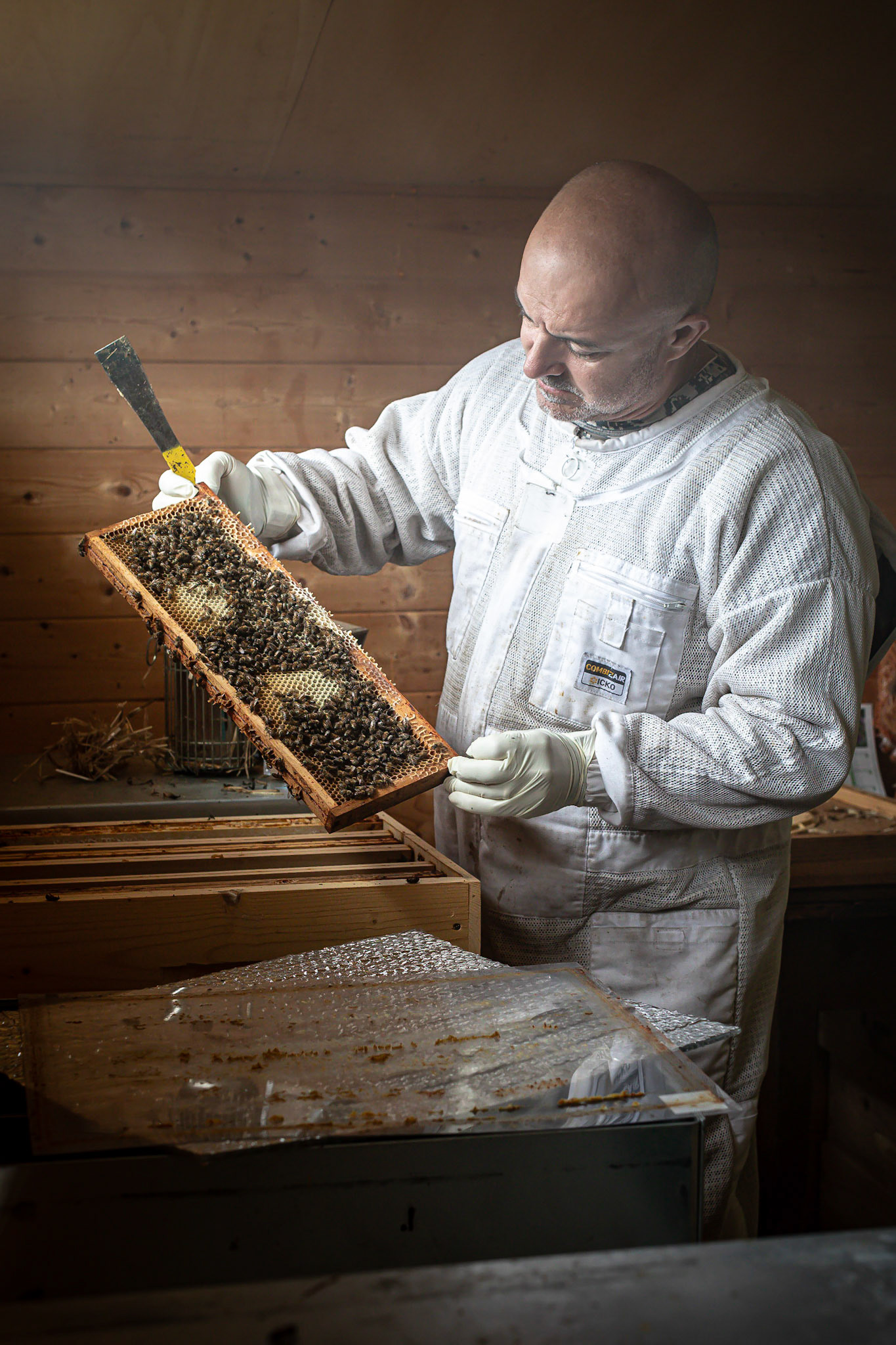 Olivier Nasti en nature