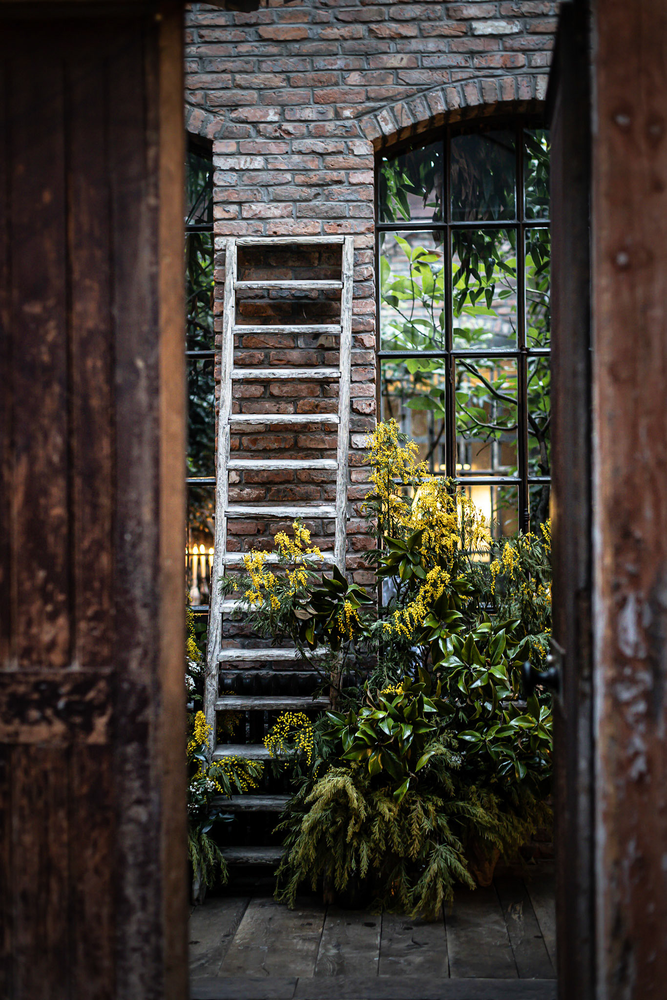 We Are Ona - La Maison (Paris)