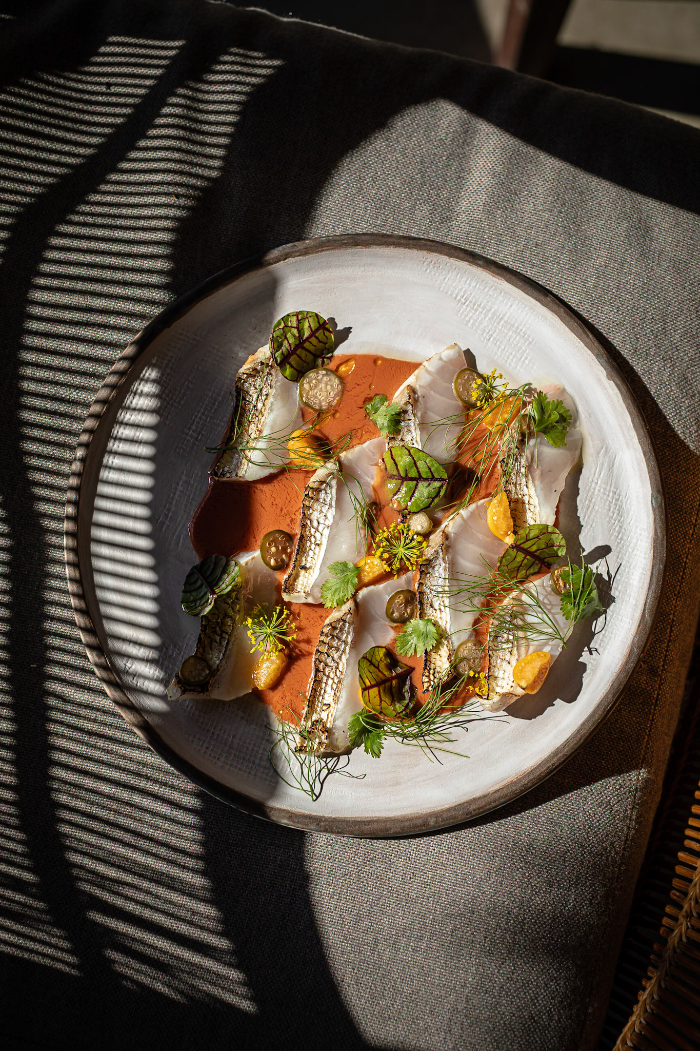 We Are Ona - Kaplankaya (Turquie)