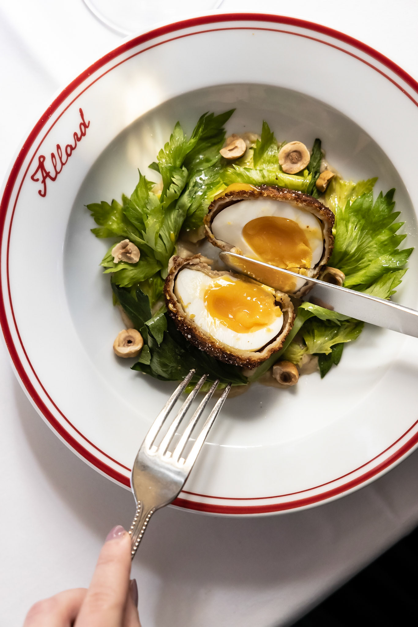 Alain Ducasse - Allard