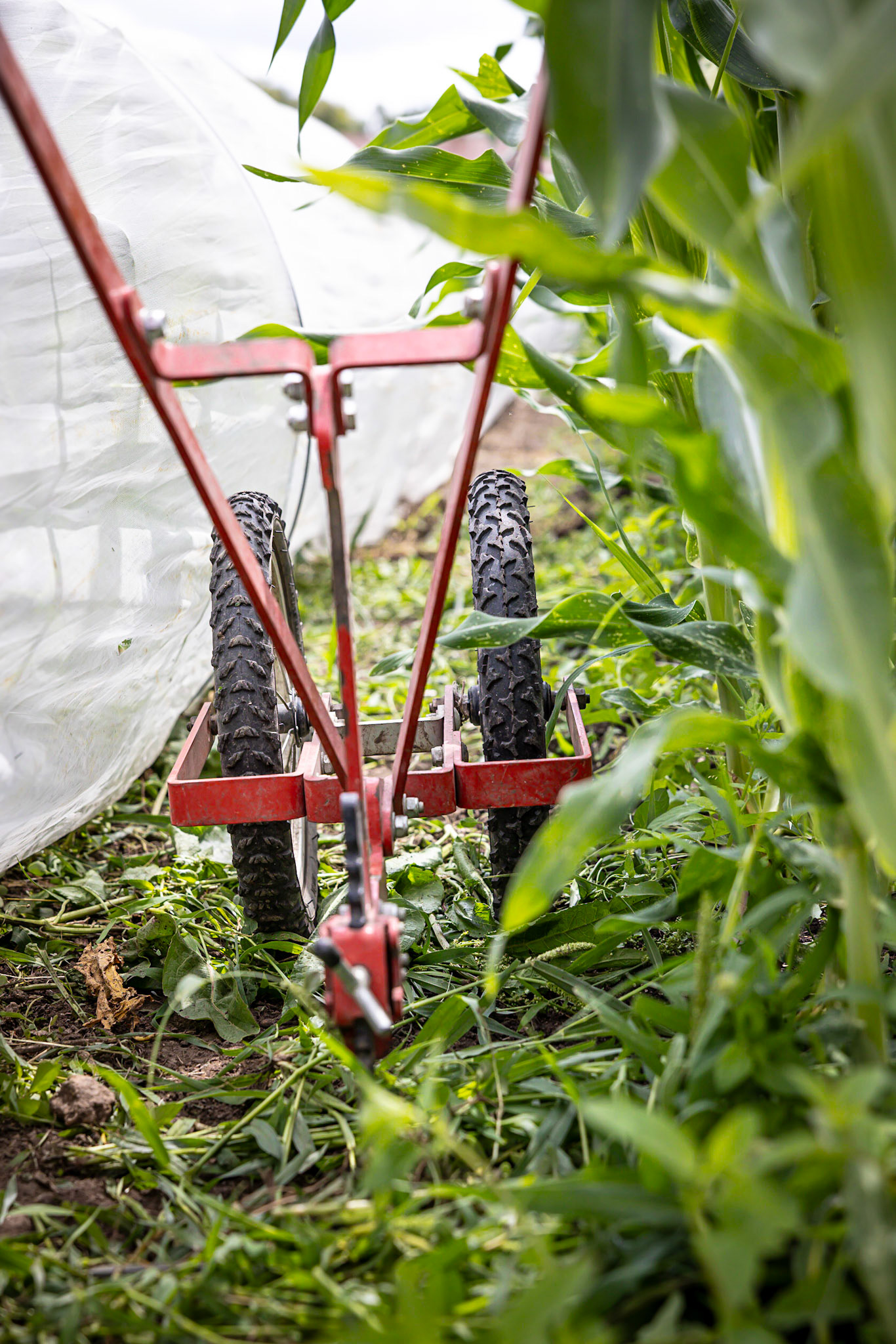TimeOut x Le Doyenné