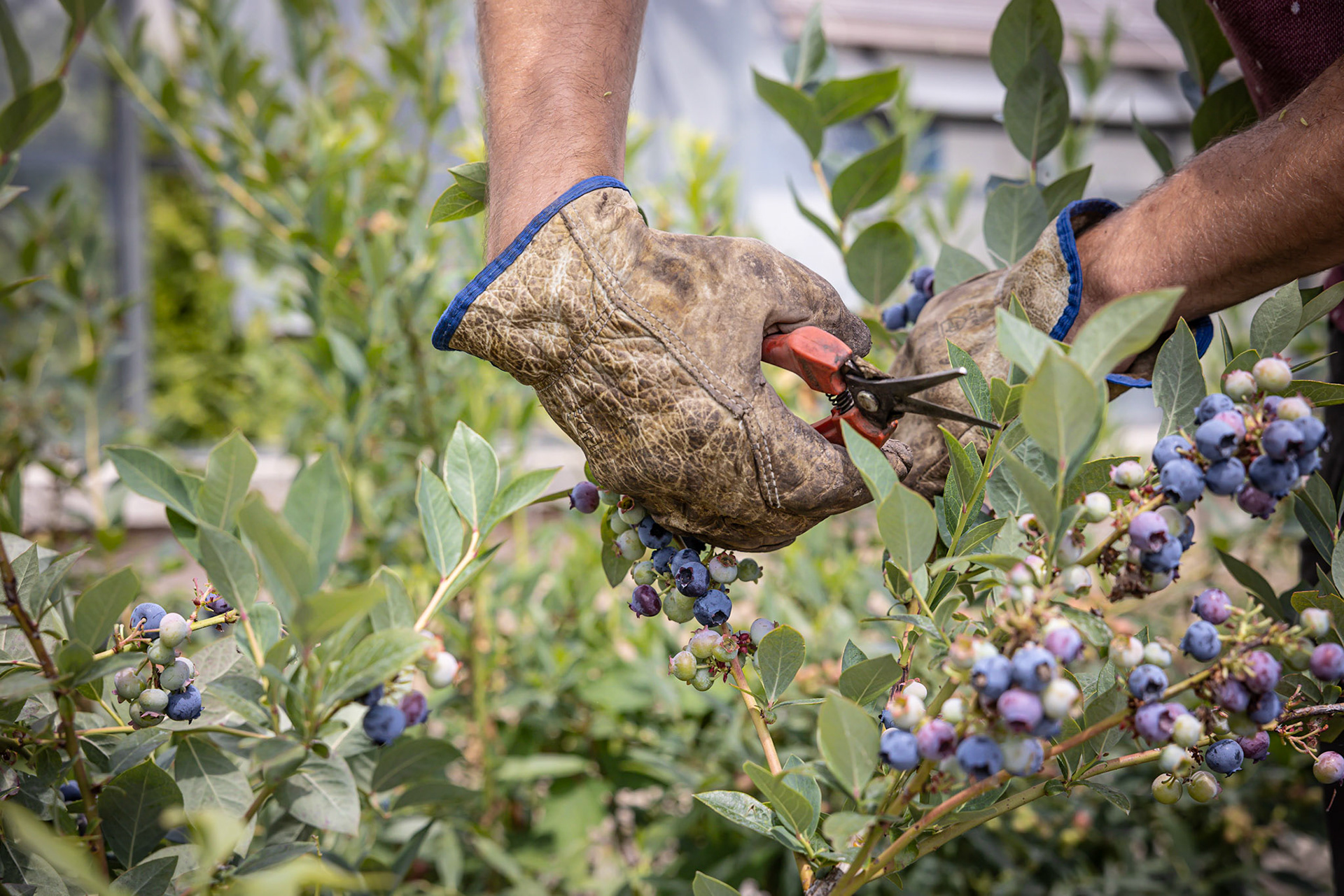 TimeOut x Le Doyenné
