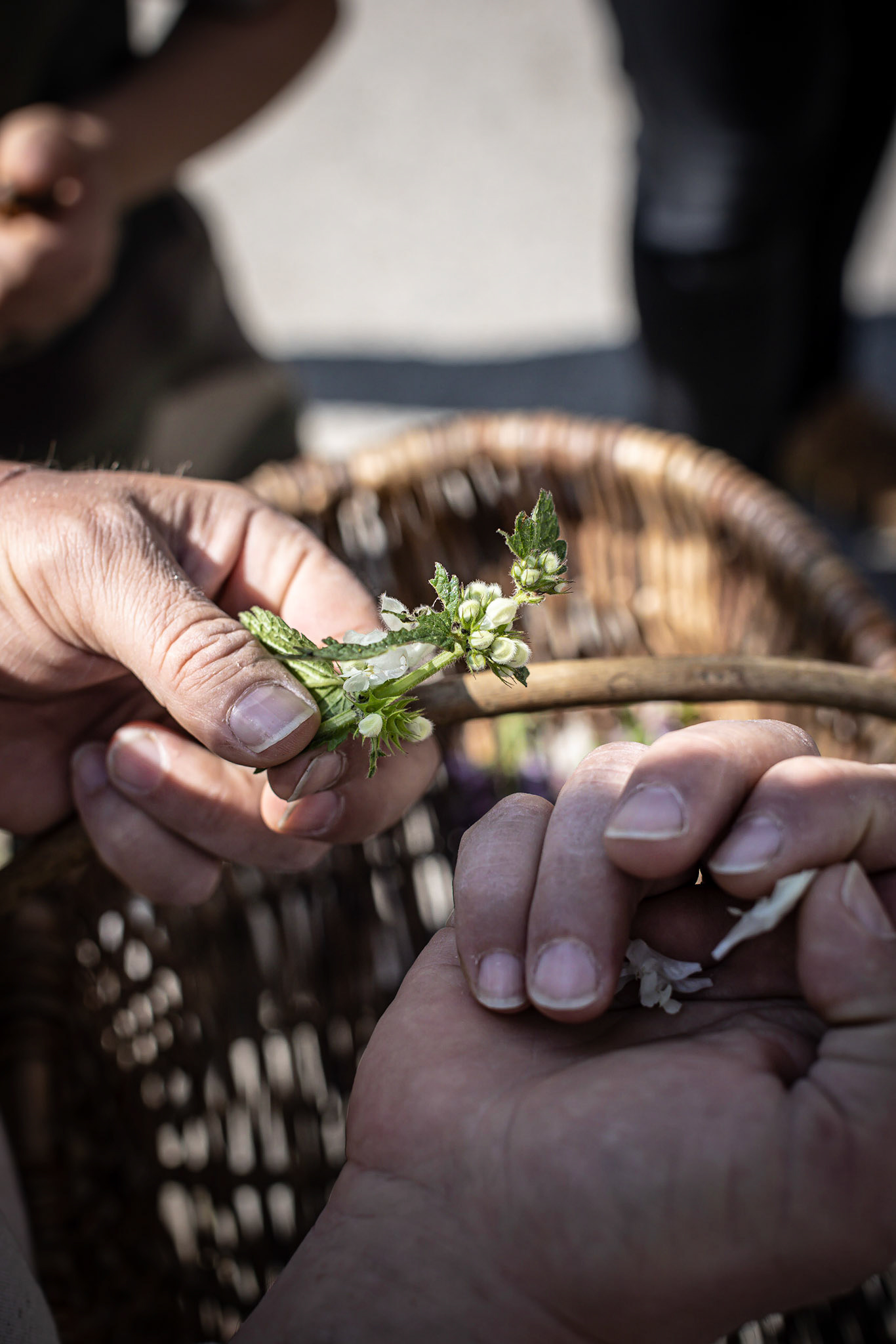 Studio Ambiant #1 - Stéphane Meyer