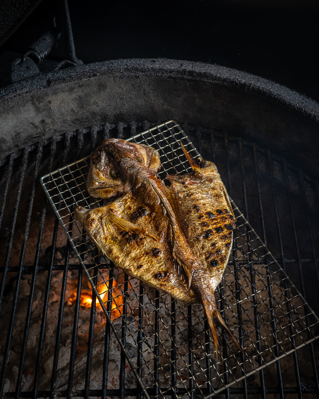 Halo - Victor Blanchet