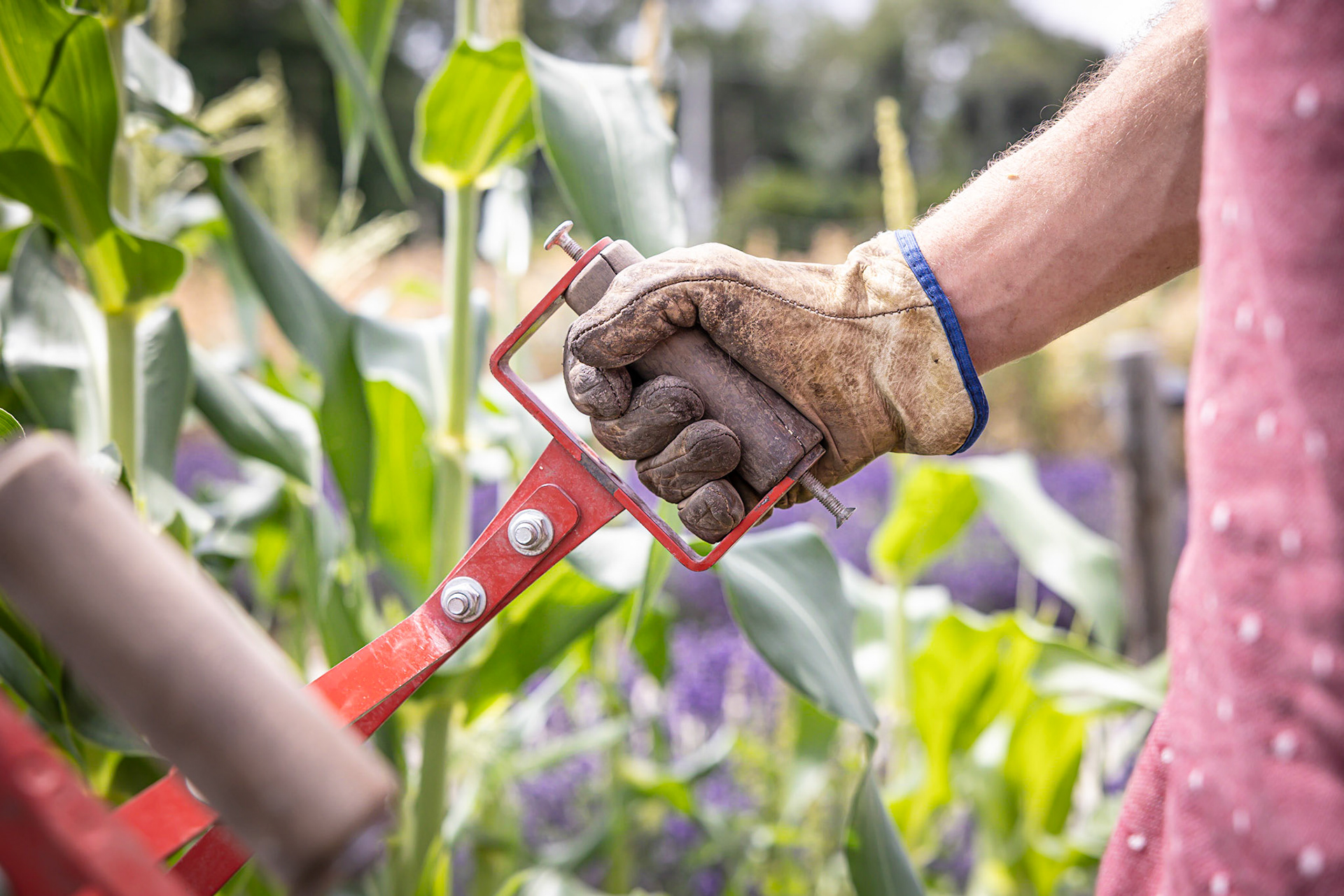 TimeOut x Le Doyenné