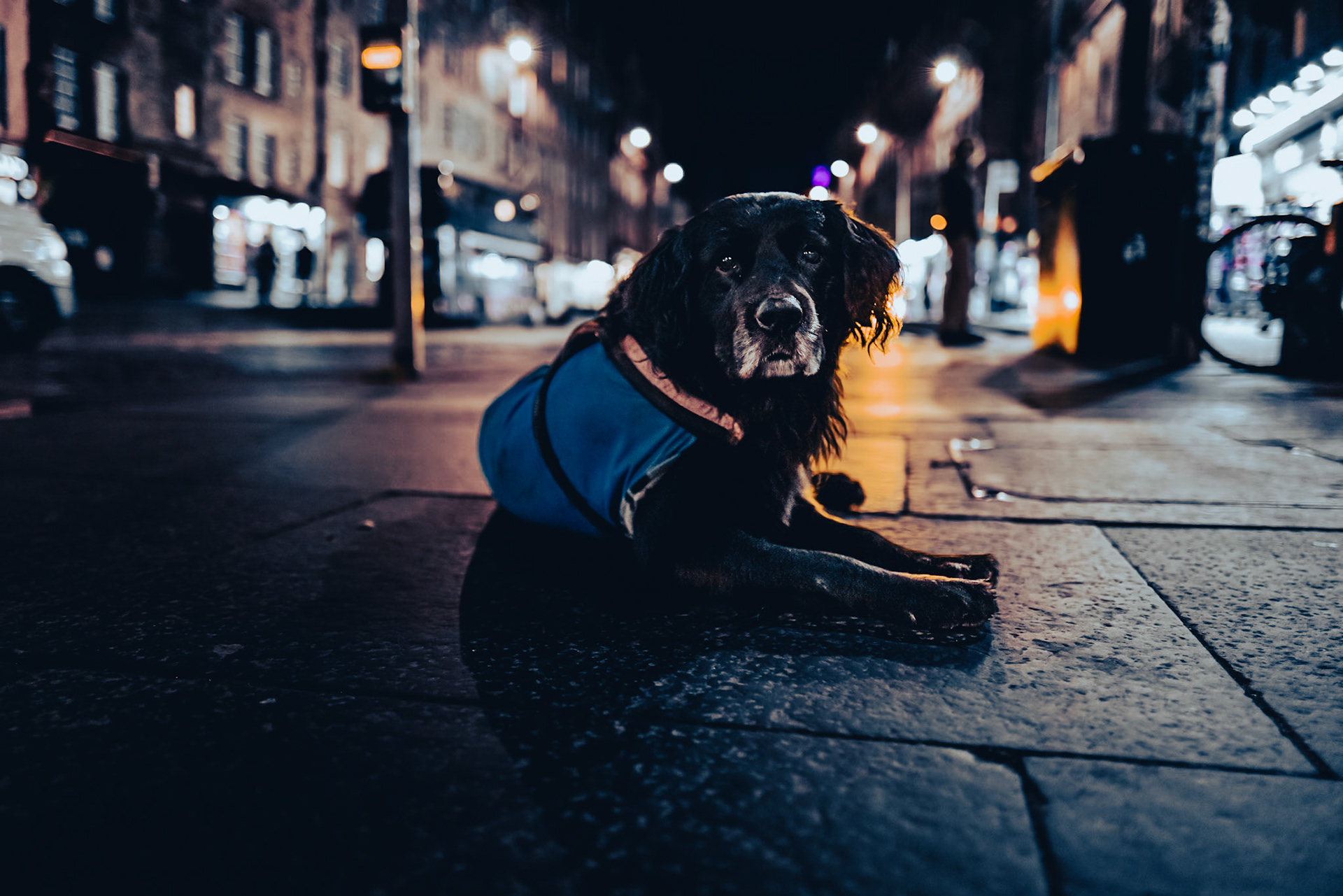 Édimbourg - novembre 2023