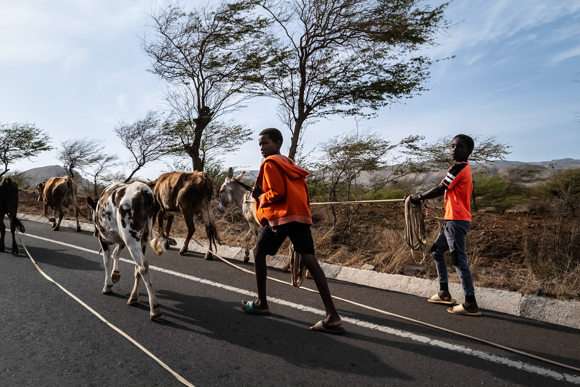 Cap Vert - mars 2023