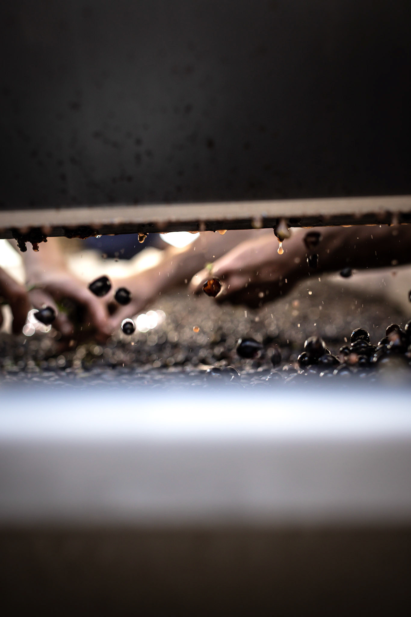 Maison Lameloise - Vendances en Bourgogne 