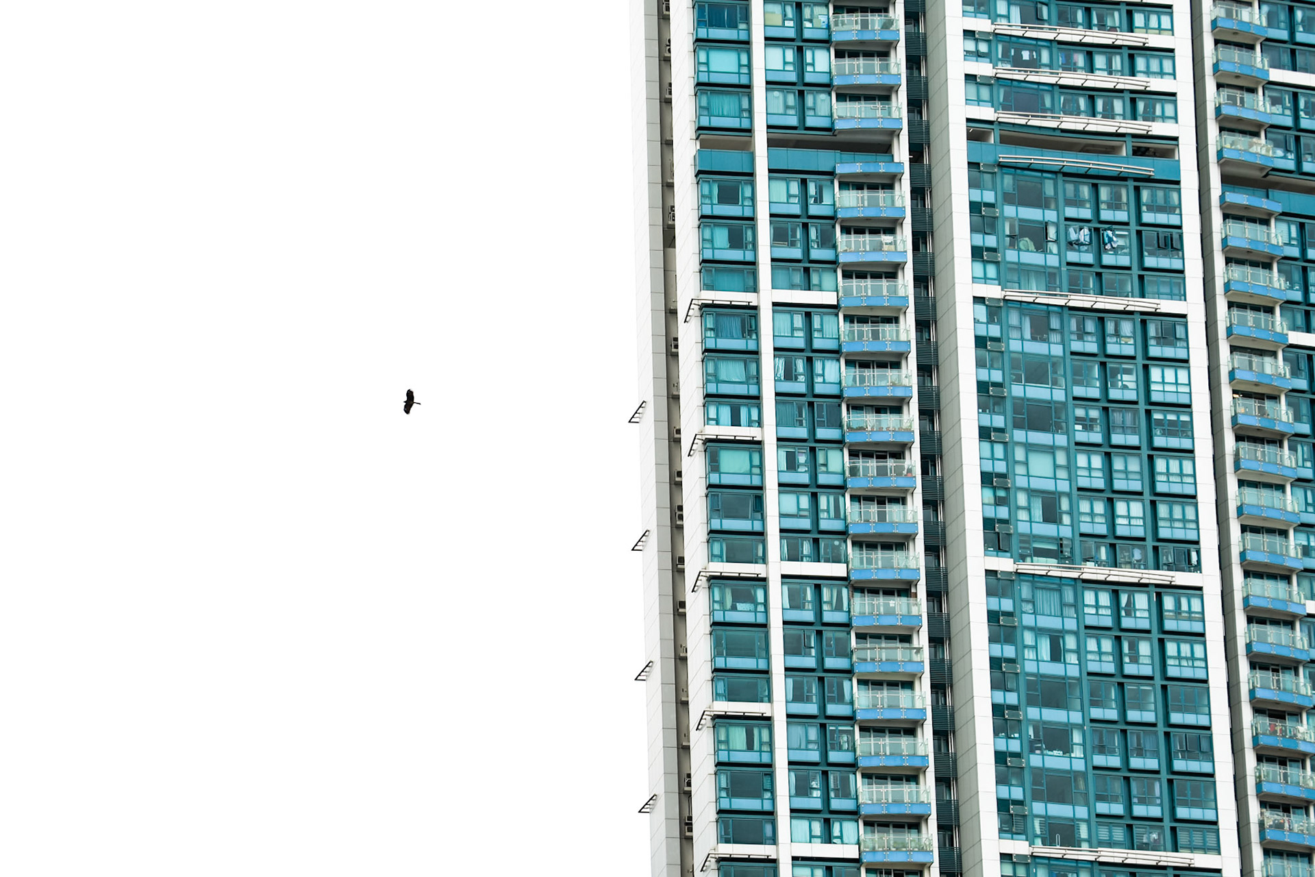Escape