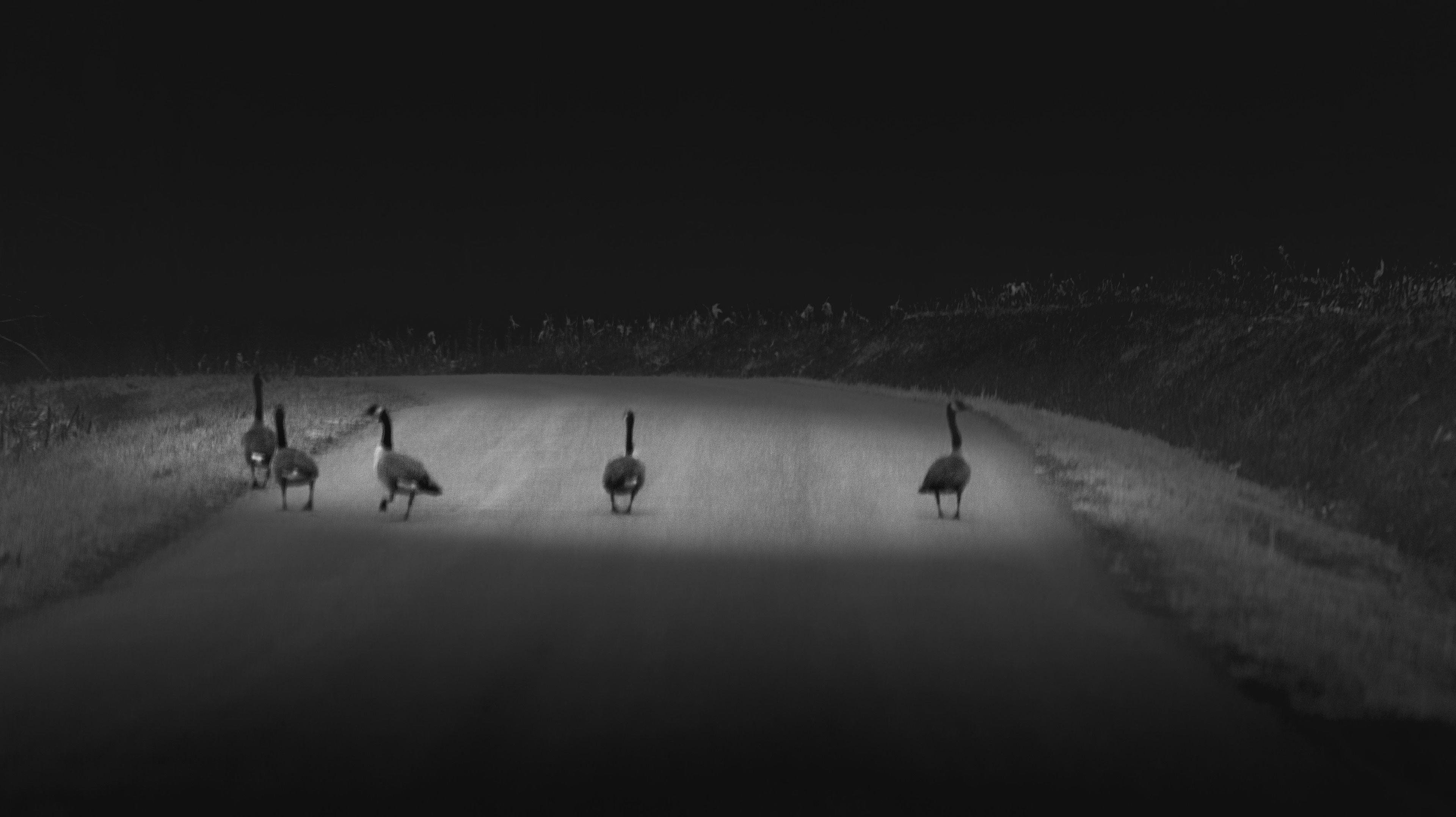 no hurry! by jeremy l massey photography