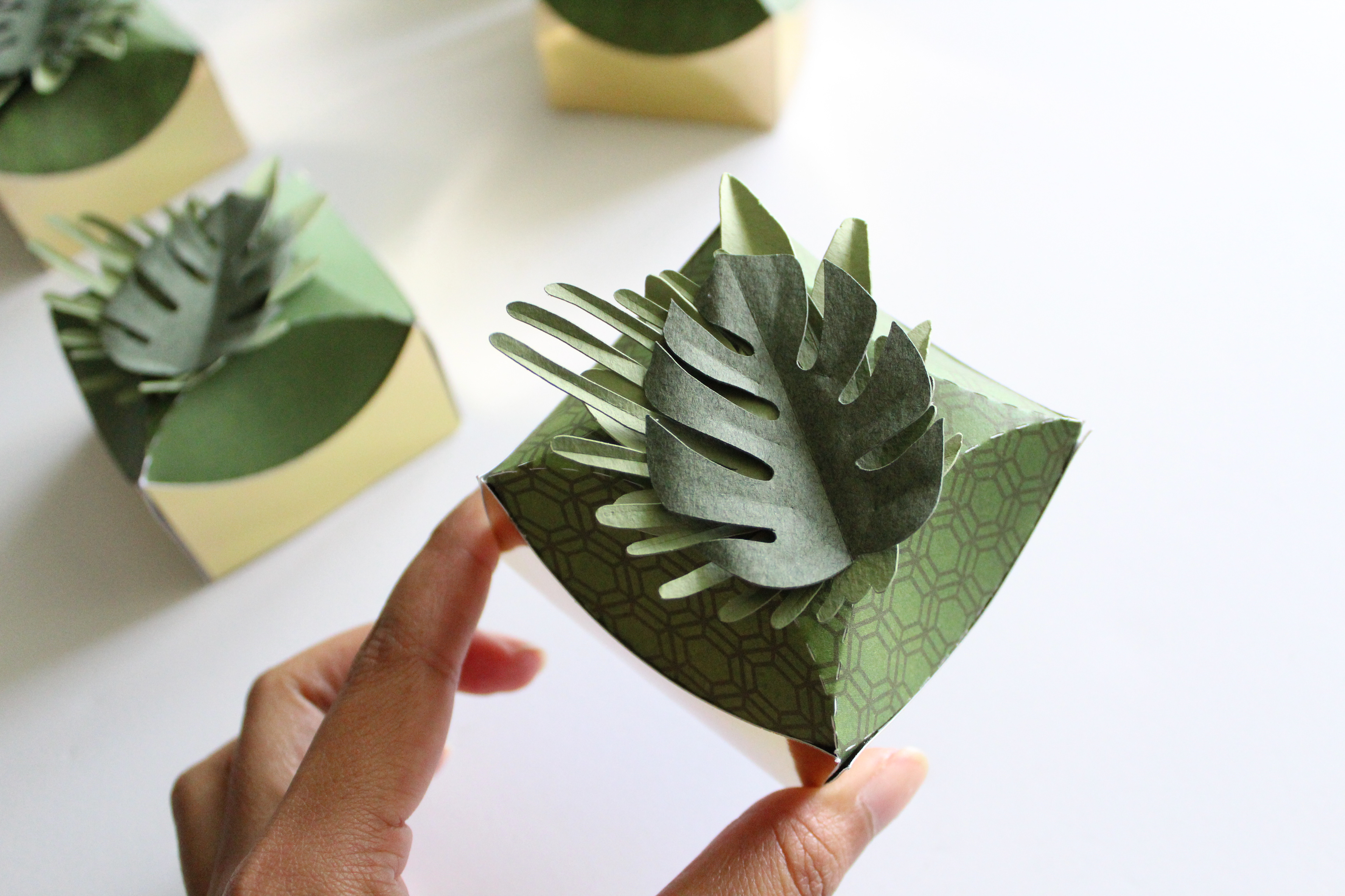 3D tropical leaves 