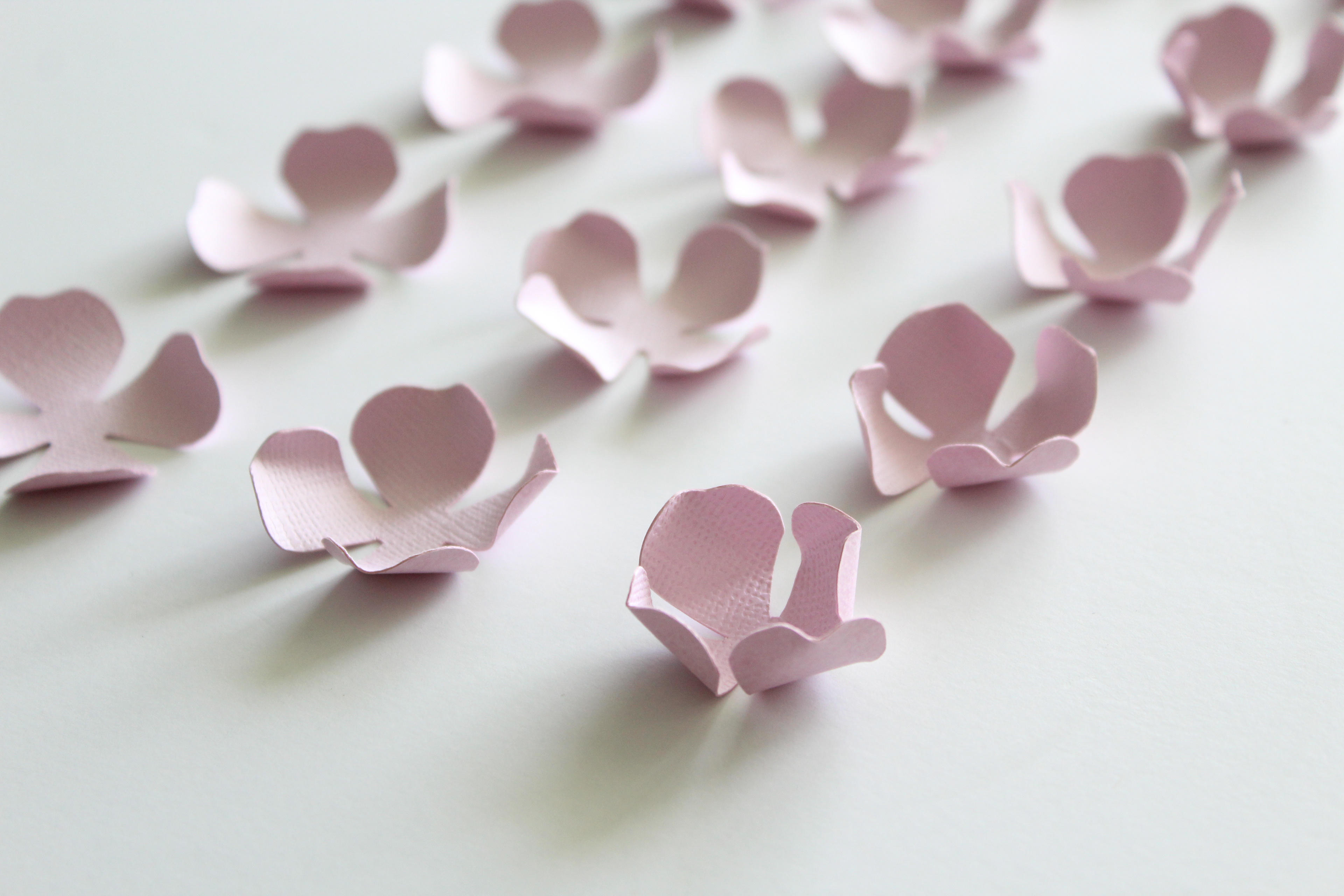 Paper Flowers