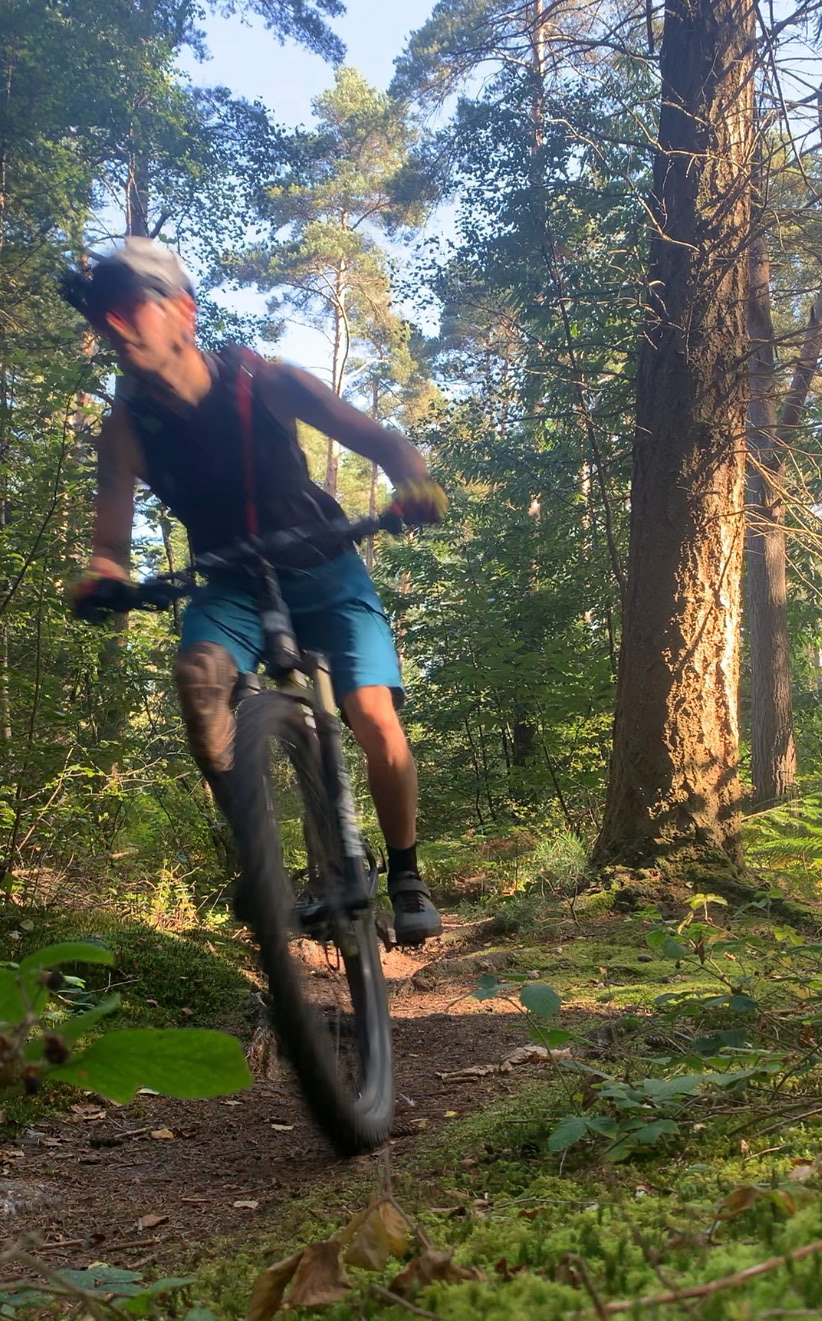 Forest single track