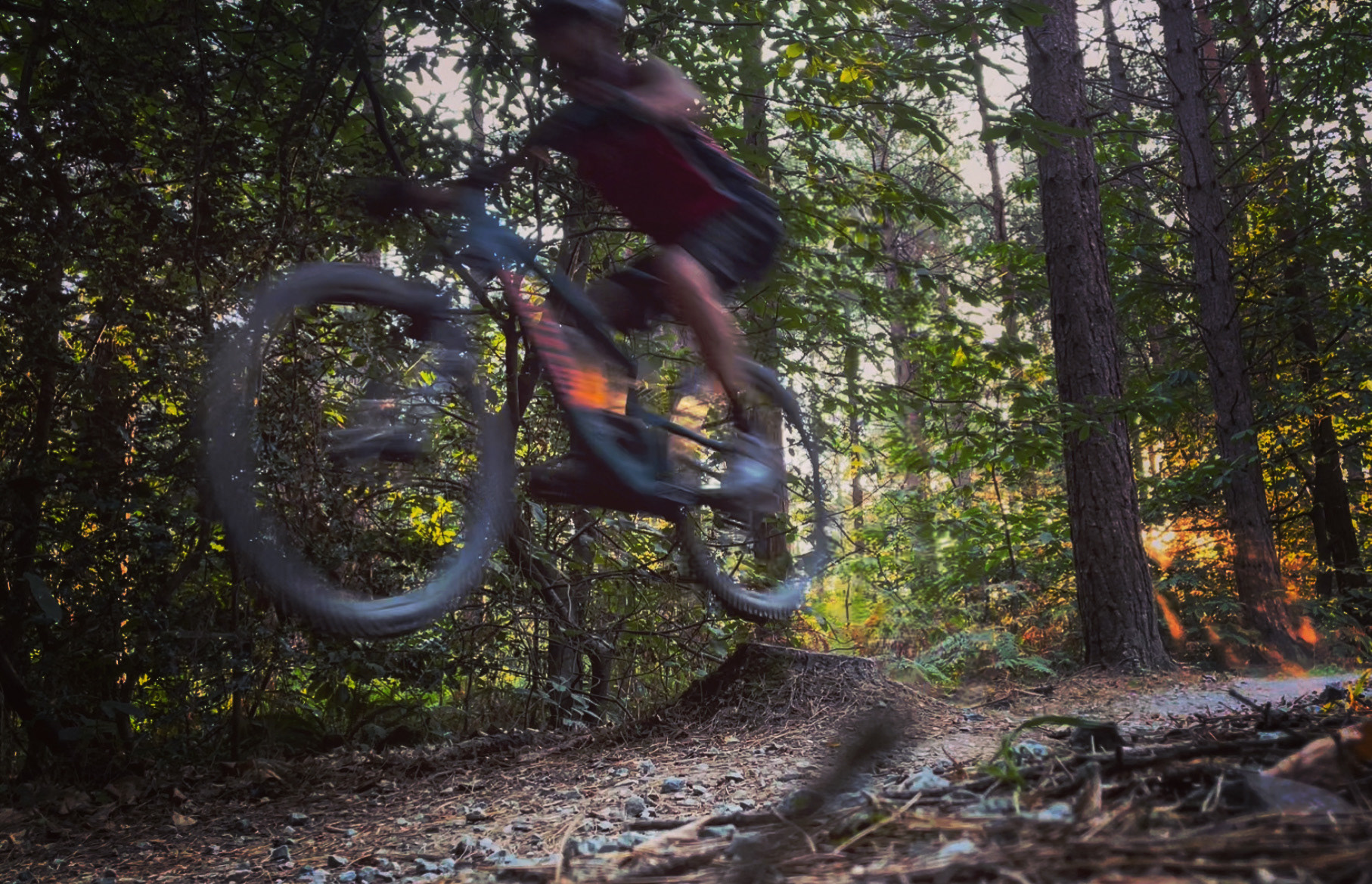 Bedgebury fun