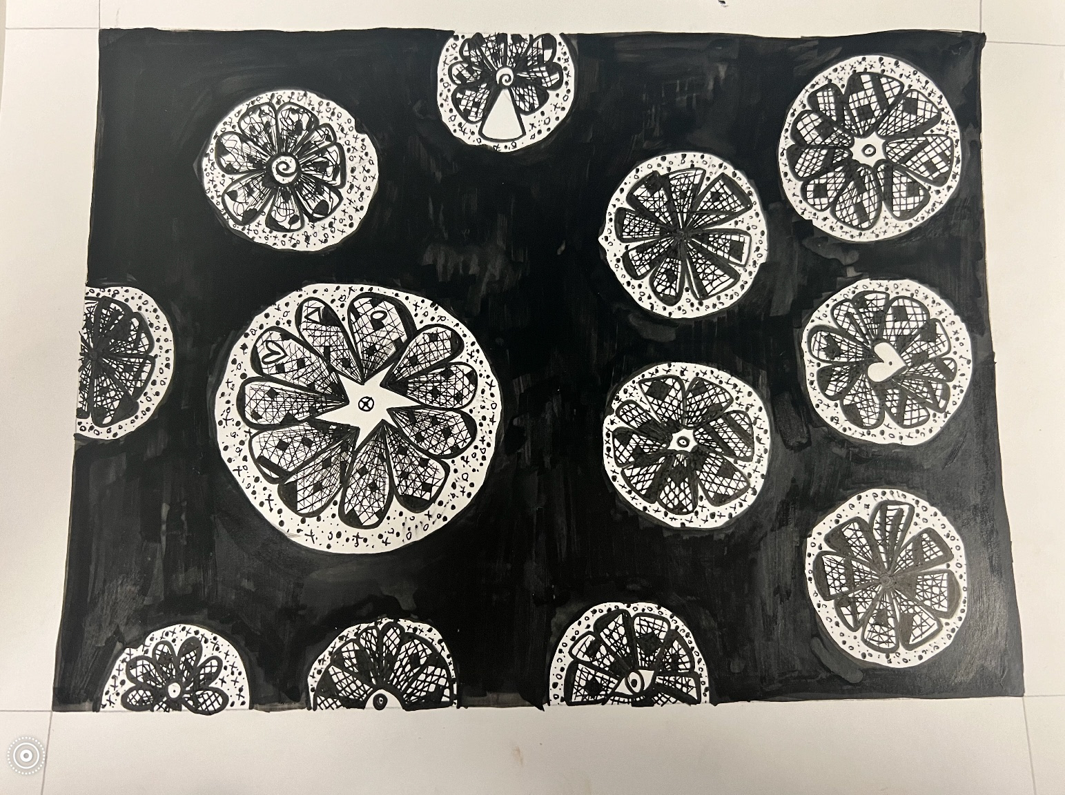 Assignment was to draw dried citrus rounds...