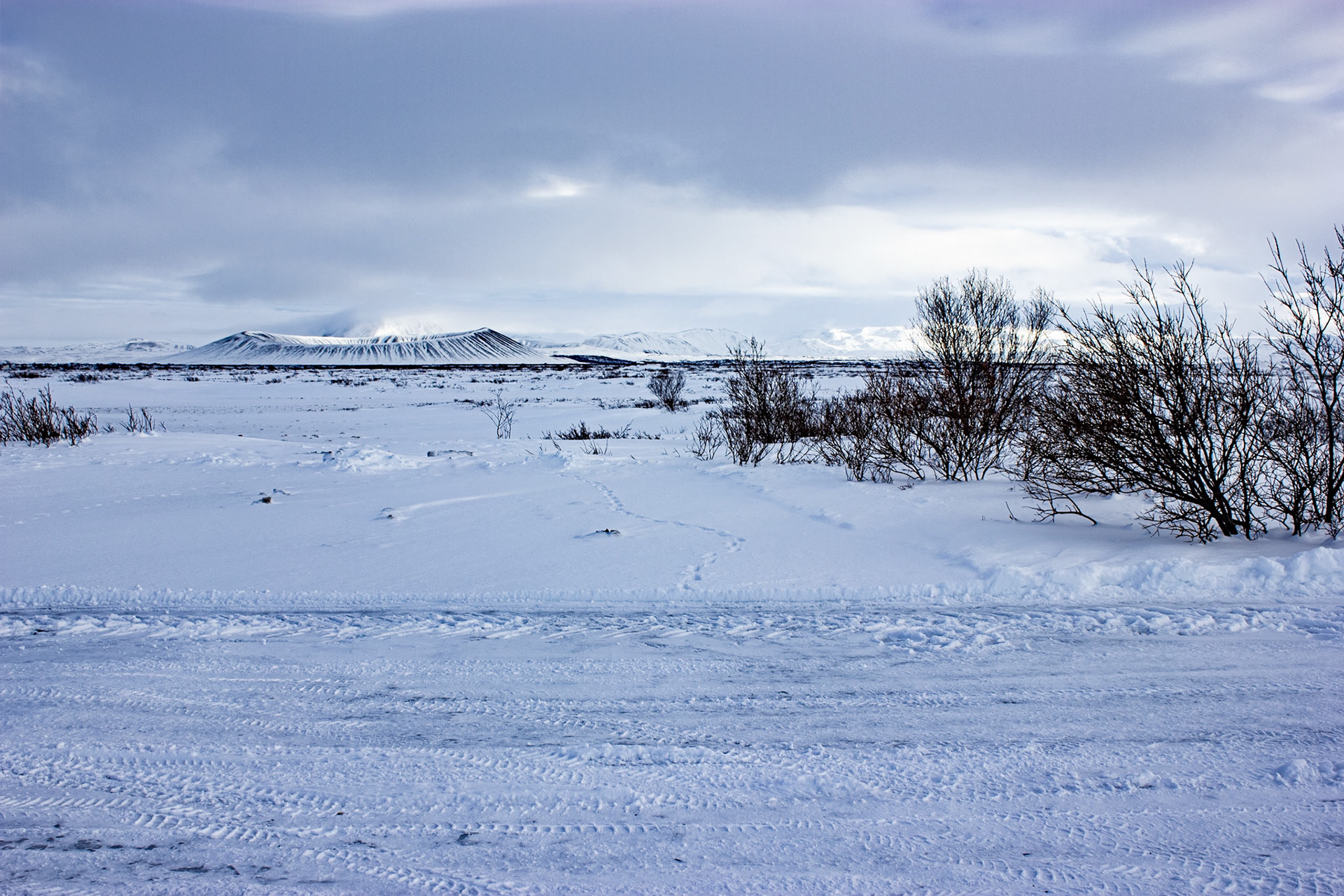 Mývatn winter